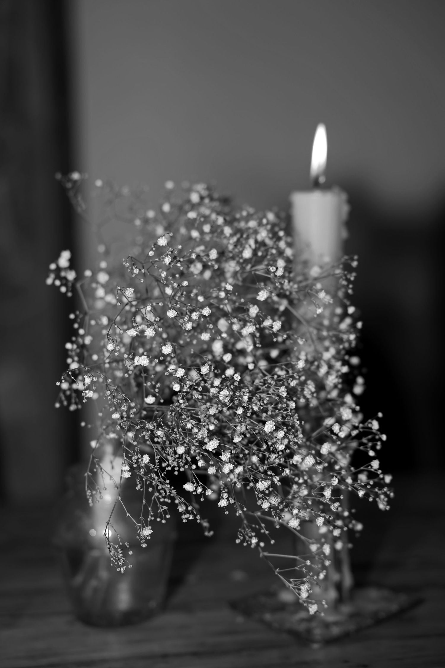 Delicate baby's breath flowers arranged in a cluster create a soft, ethereal display in black and white.