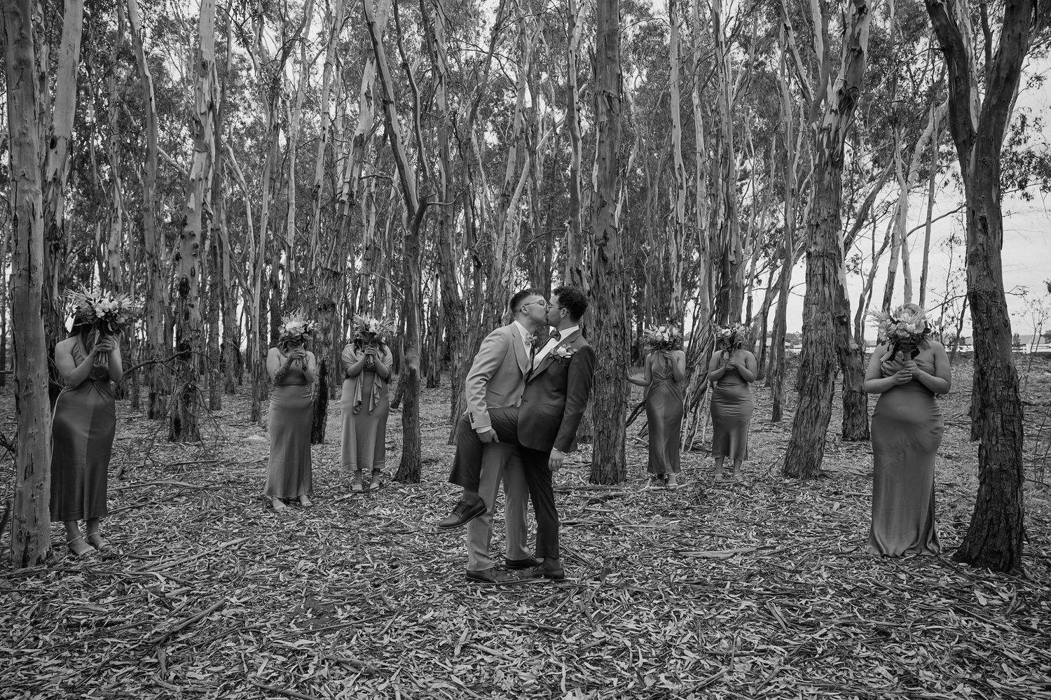 Wide panoramic view of wedding guests standing among tall eucalyptus trees in a forest setting.