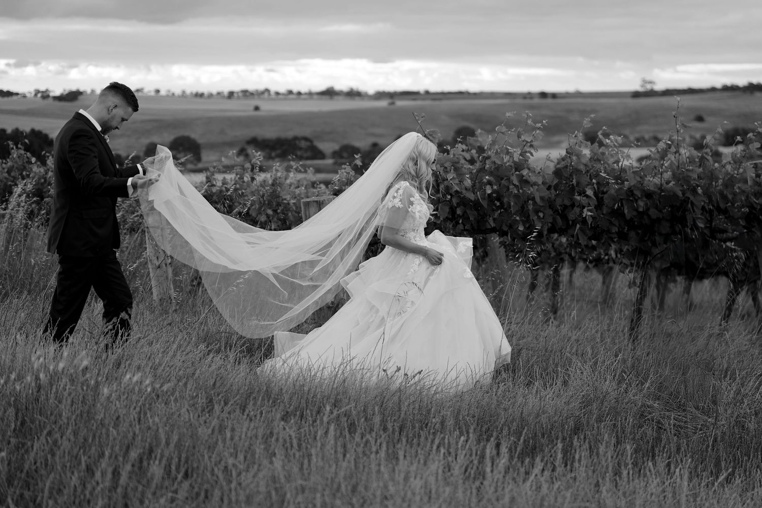 A romantic black and white wedding photo in a vineyard with a flowing veil caught in the breeze. Gomersal Wines