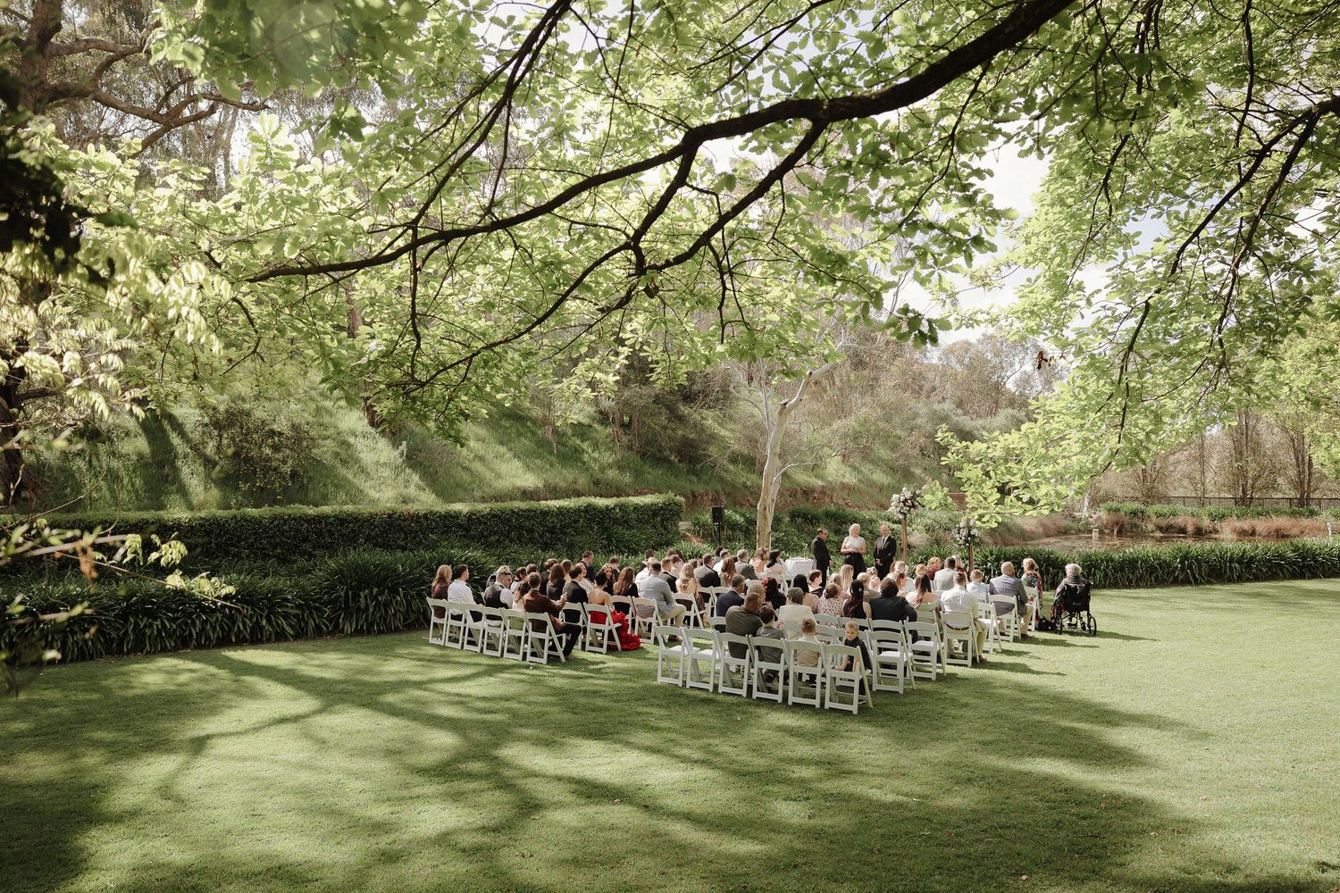 Outdoor wedding ceremony setup with white chairs arranged on a lush green lawn beneath towering trees casting dappled sunlight.