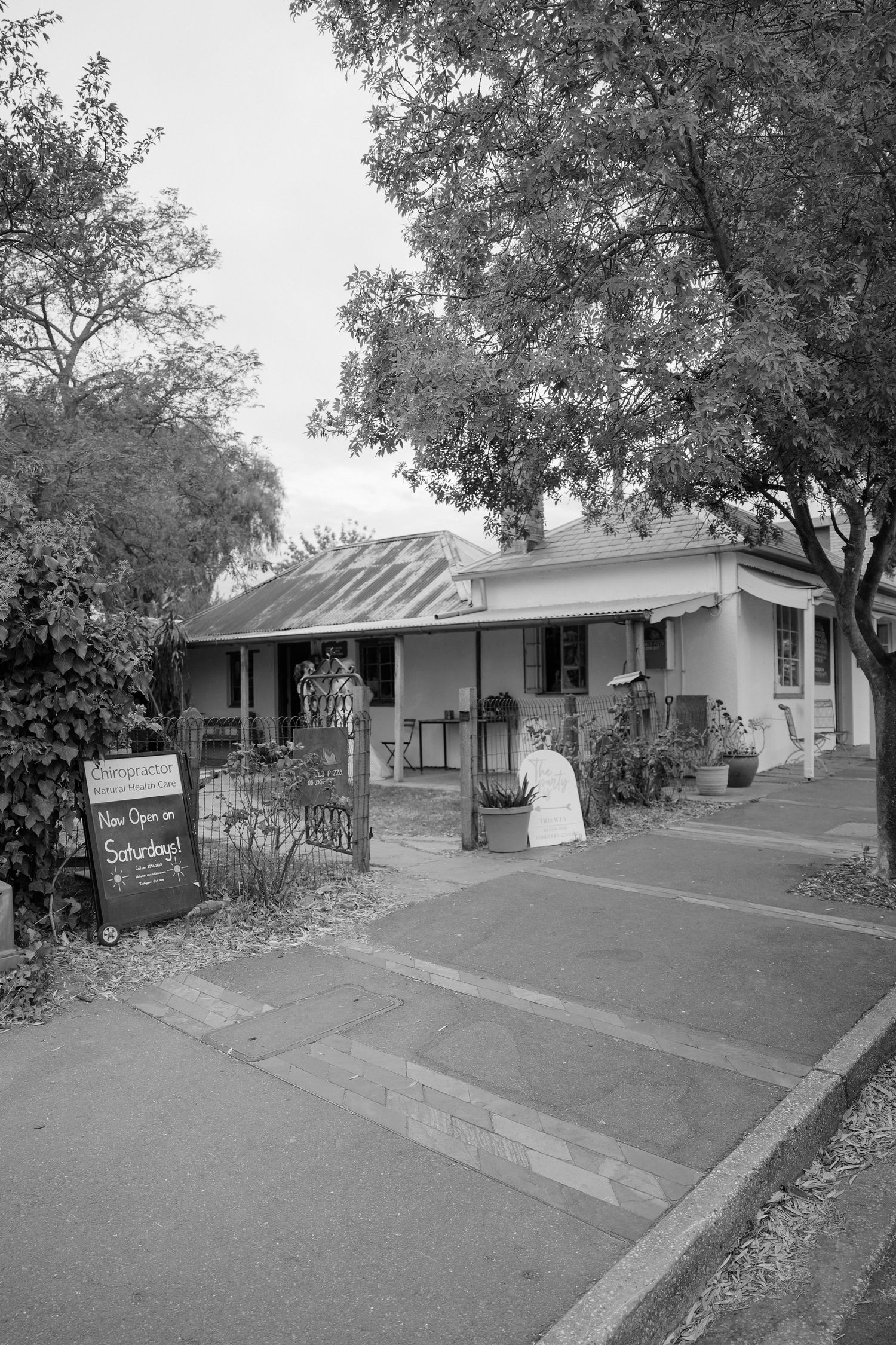 A series of small ranch-style houses with sloped lawns and trees line a residential street in black and white.