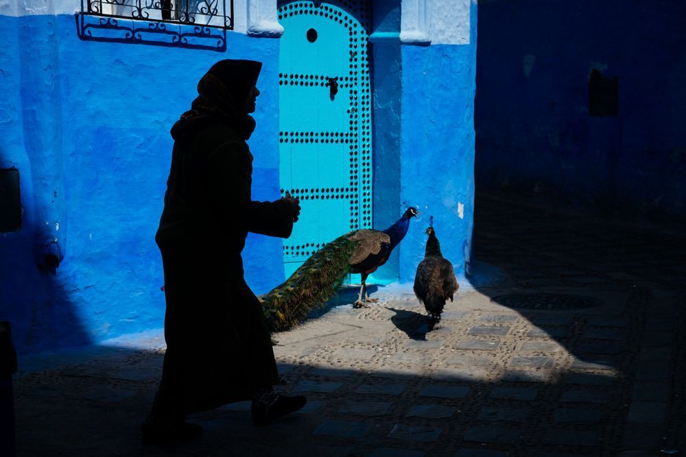 Series of architectural silhouettes in deep blue tones creating abstract geometric shapes.