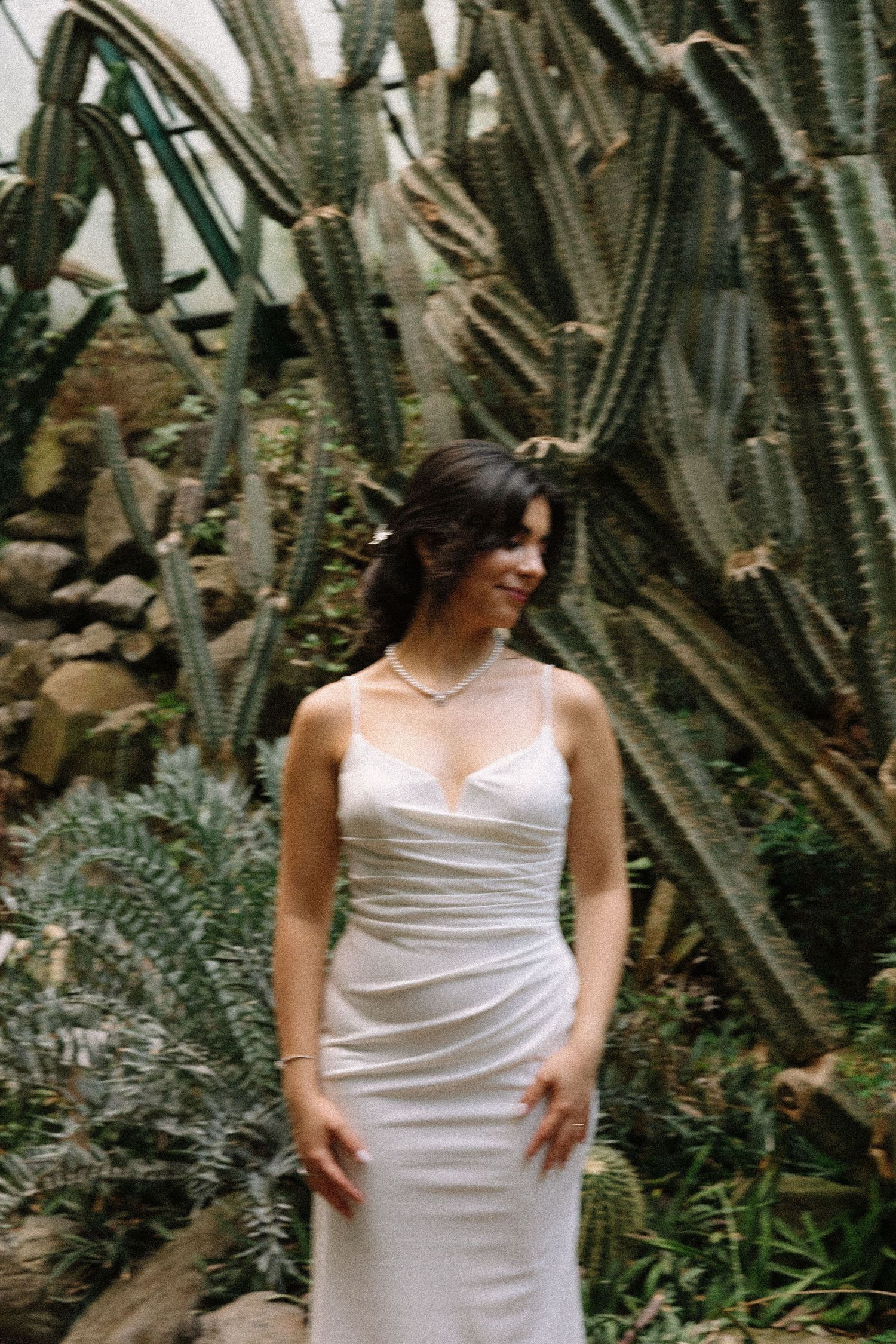 A white dress photoshoot against a backdrop of tall desert cacti and succulents.