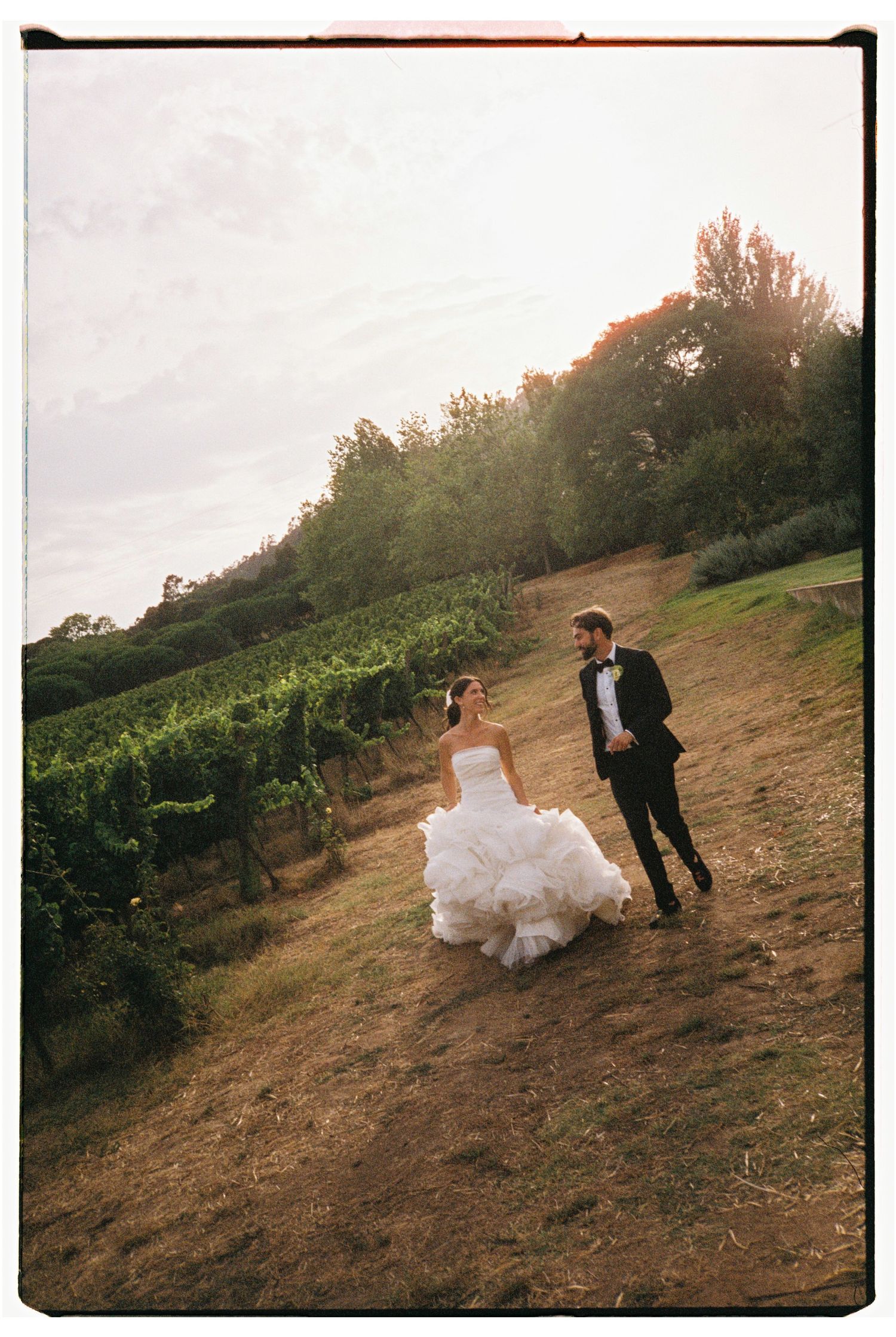 A couple in wedding attire walks through a scenic vineyard at sunset on a hillside path.