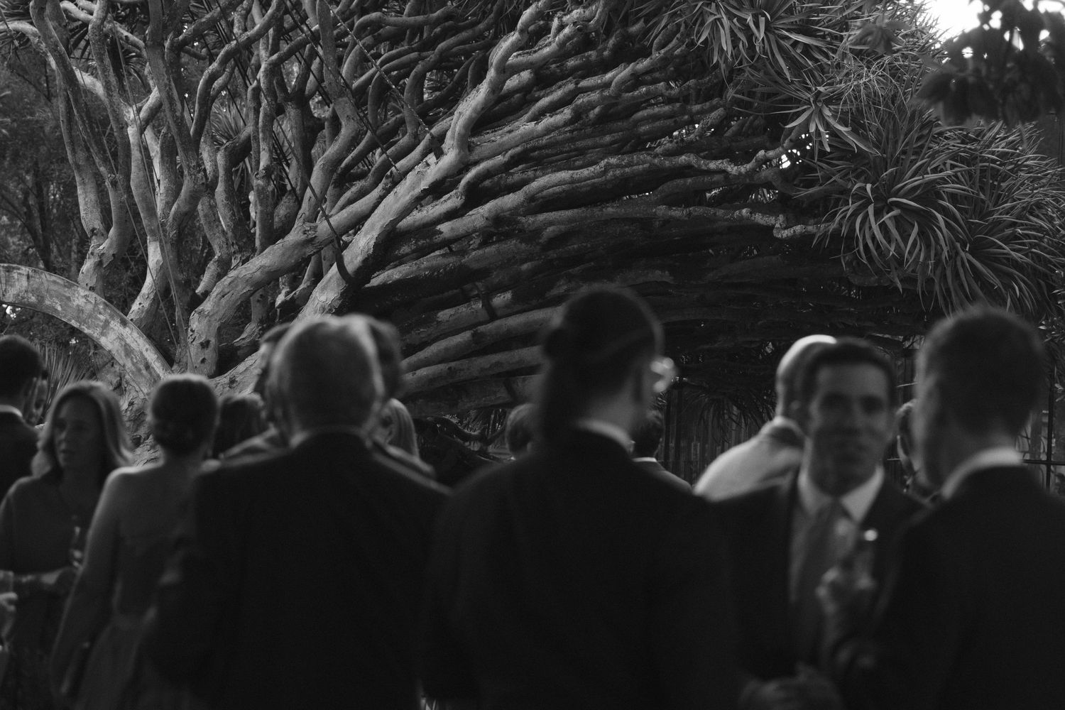 A crowd gathers under trees at an outdoor event during twilight.