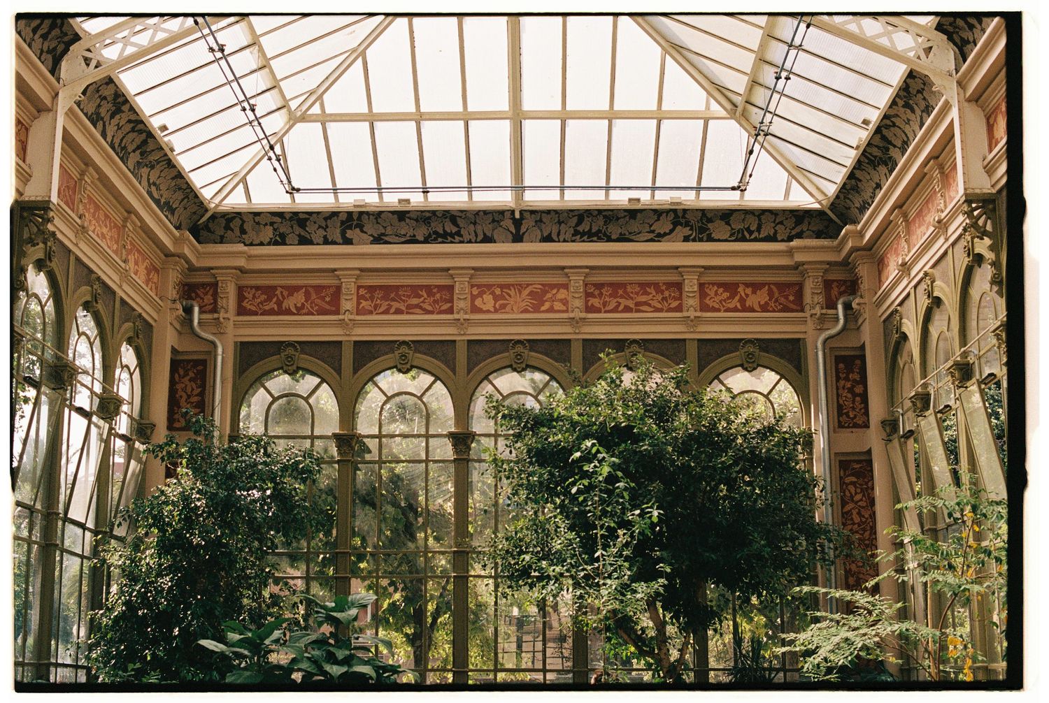 Ornate glass conservatory with vaulted ceiling and lush indoor plants.