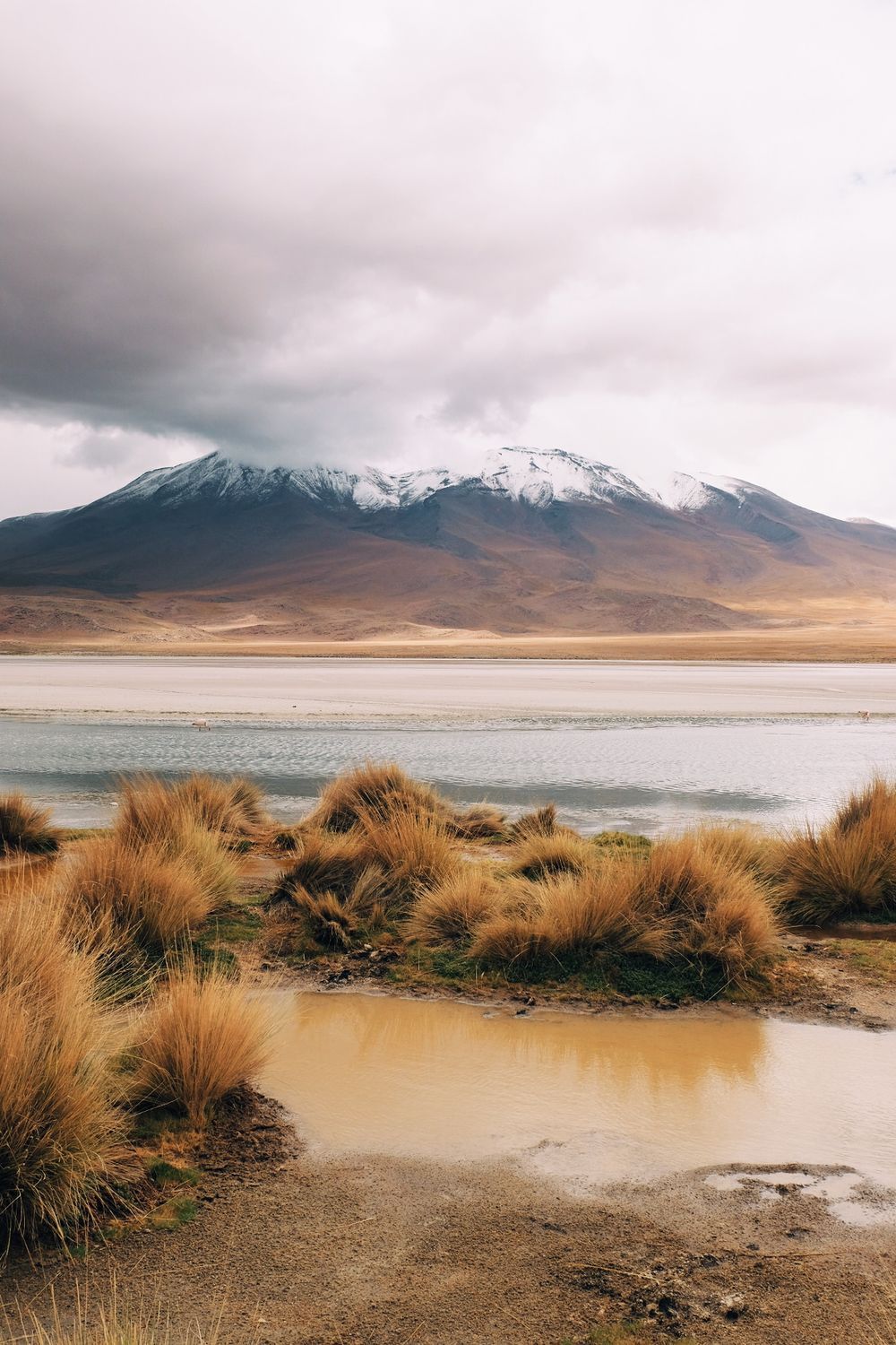 Panoramic landscape of snow-capped mountains and golden grasslands near a high-altitude lake.