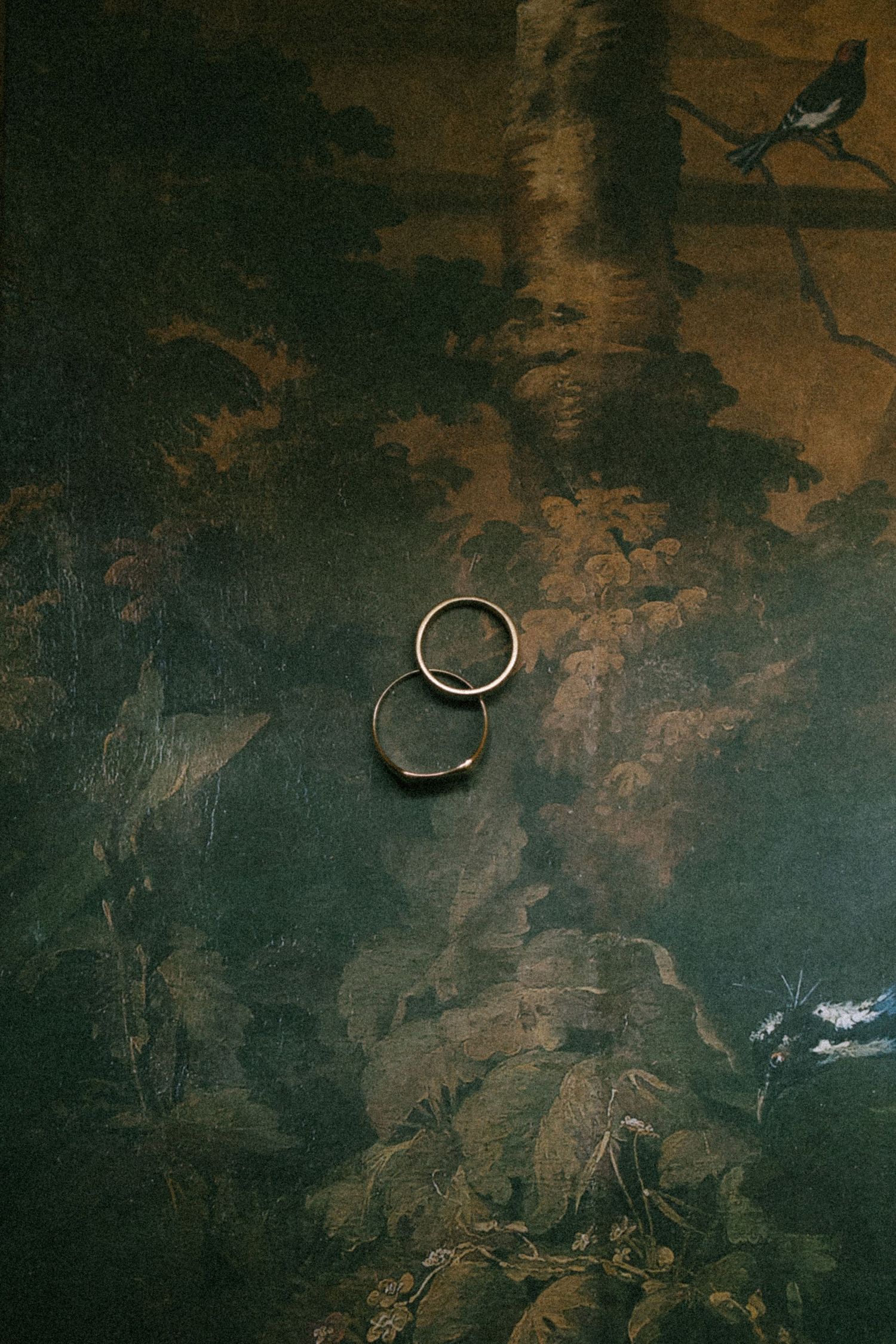 Simple gold wedding rings arranged on a dramatic dark artistic background.