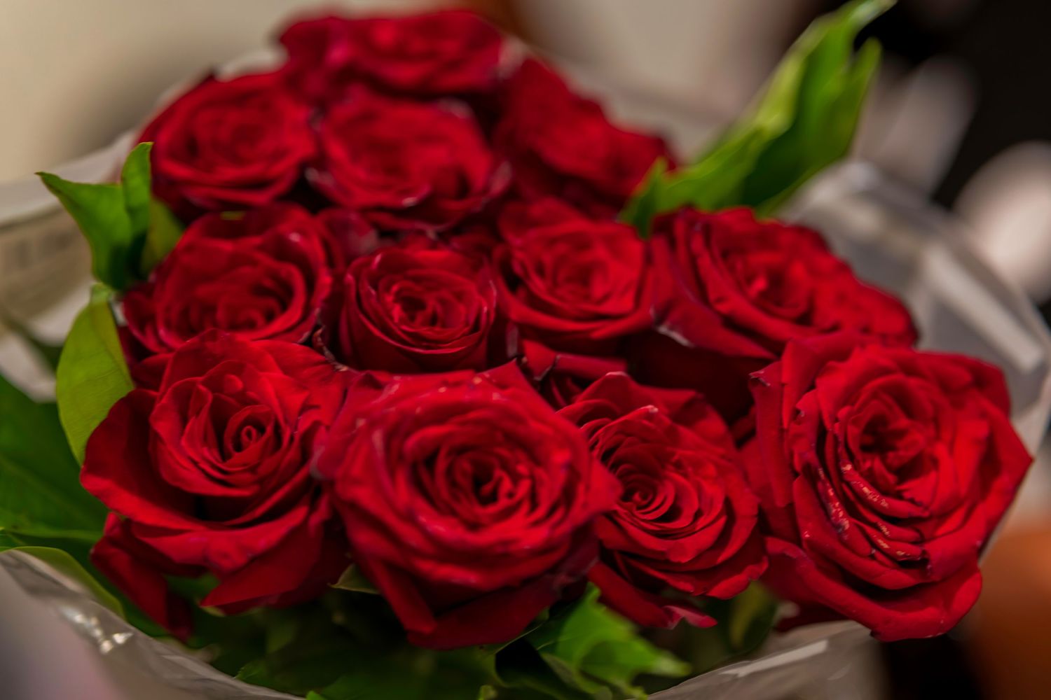 A stunning bouquet of deep red roses with lush green leaves, perfect for romantic occasions and special gifts.
