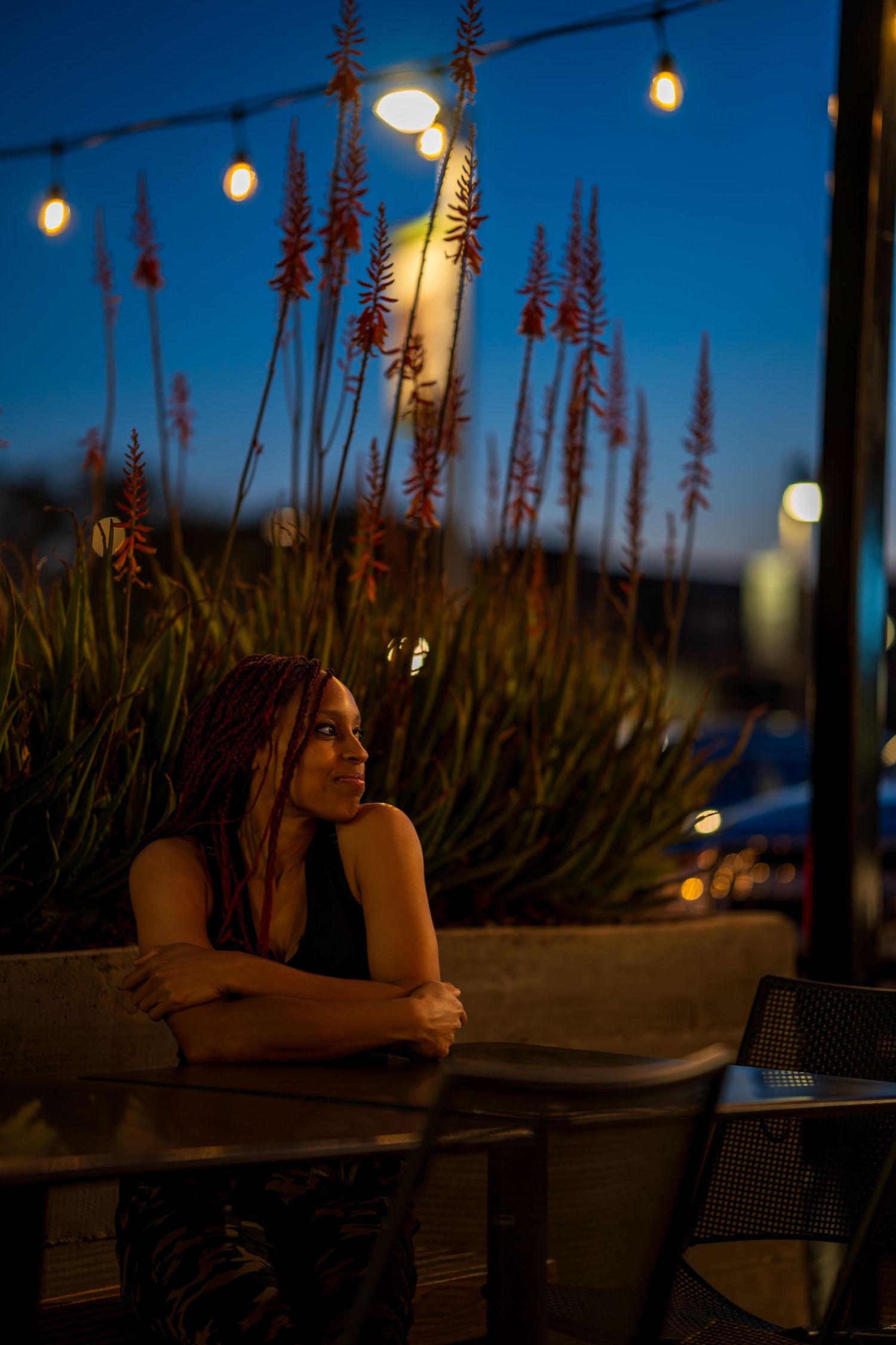 String lights illuminate an evening scene with tall red flowers against a deep blue sky.
