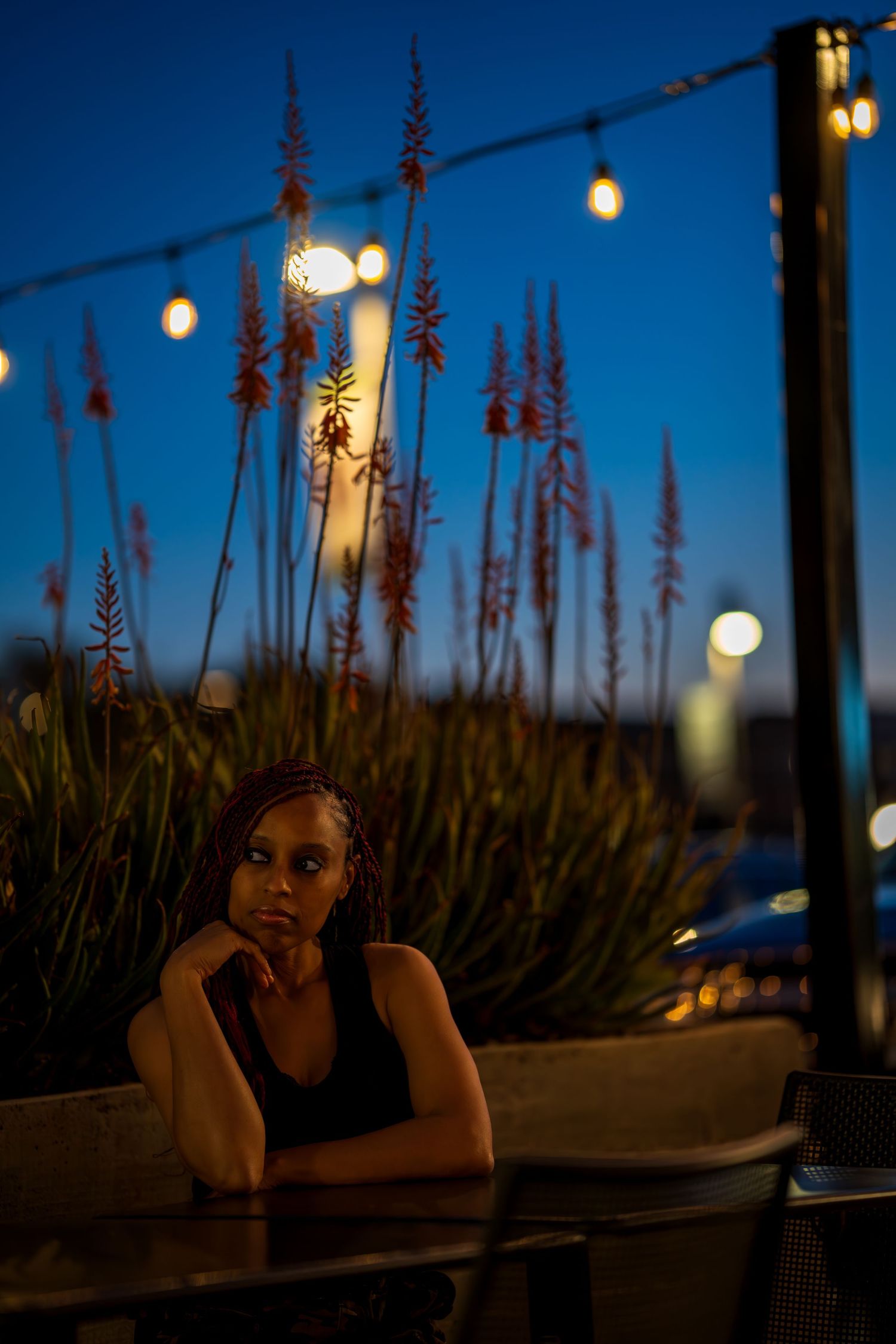 Dusk photography with warm string lights and tall plants creating depth and dimension.