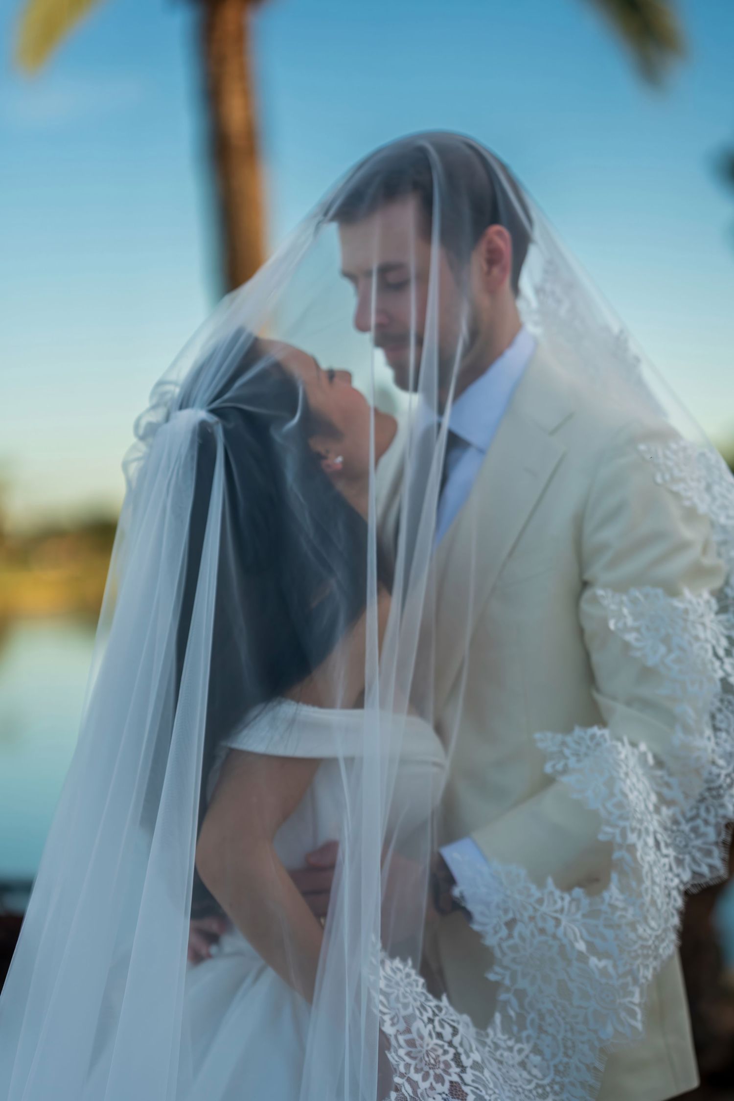 A dreamy wedding portrait sequence with a delicate lace veil creating an ethereal effect.