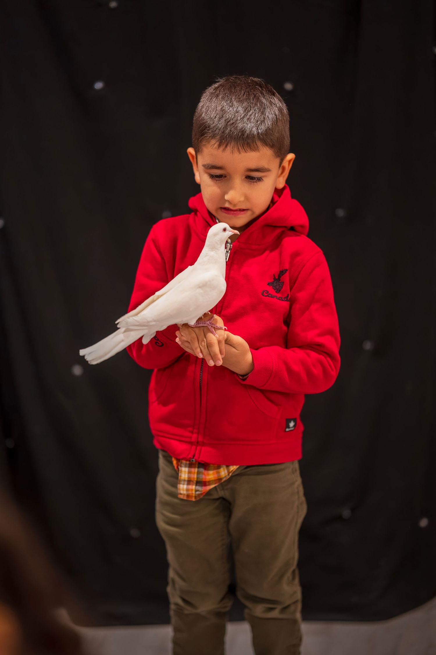 Young performer in red hoodie carefully holds a white dove against dark background.