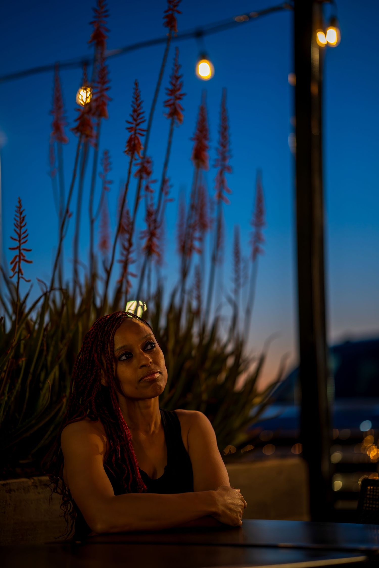 Artistic nighttime scene with silhouetted plants and glowing string lights creating atmospheric lighting.