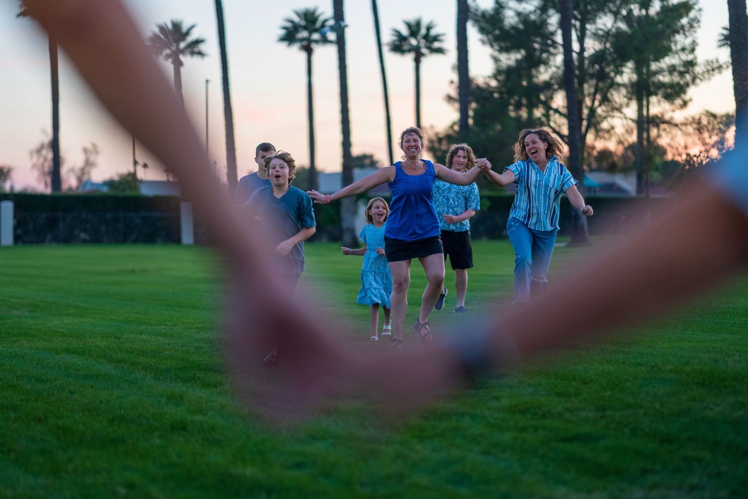 Silhouettes of palm trees and people enjoying an evening on a grassy field.