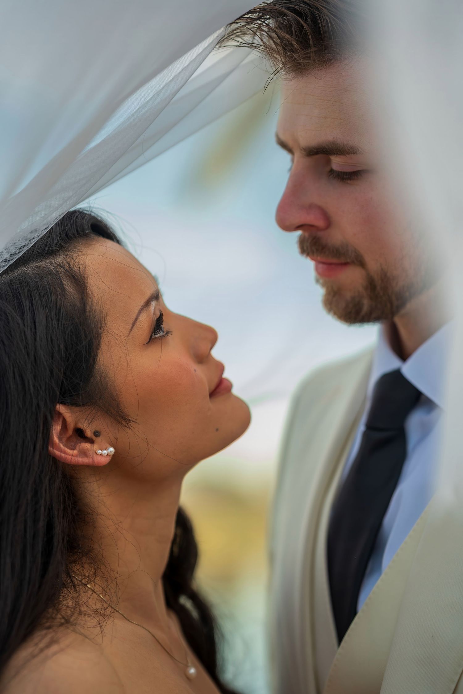 A soft-focus wedding portrait sequence showing tender moments through a sheer veil.