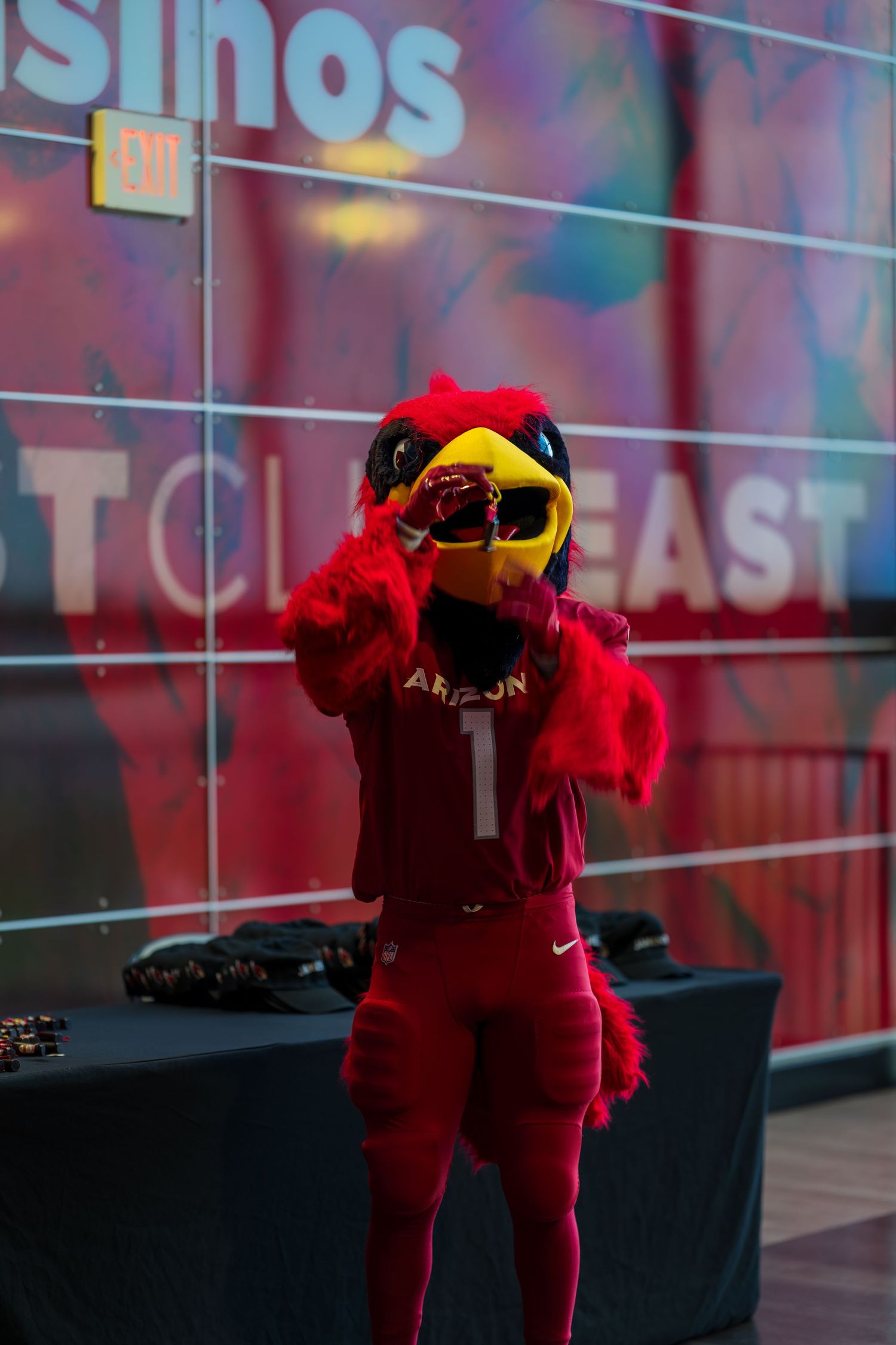 Arizona Cardinals mascot in red costume posing against branded backdrop.