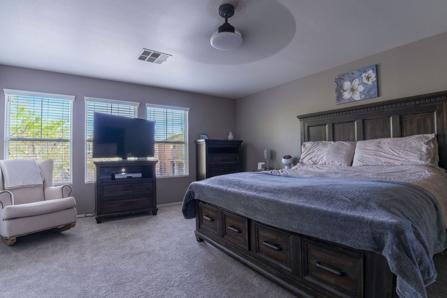 Spacious master bedroom with king bed, dark wood furniture, carpet, ceiling fan, and two windows with natural light.