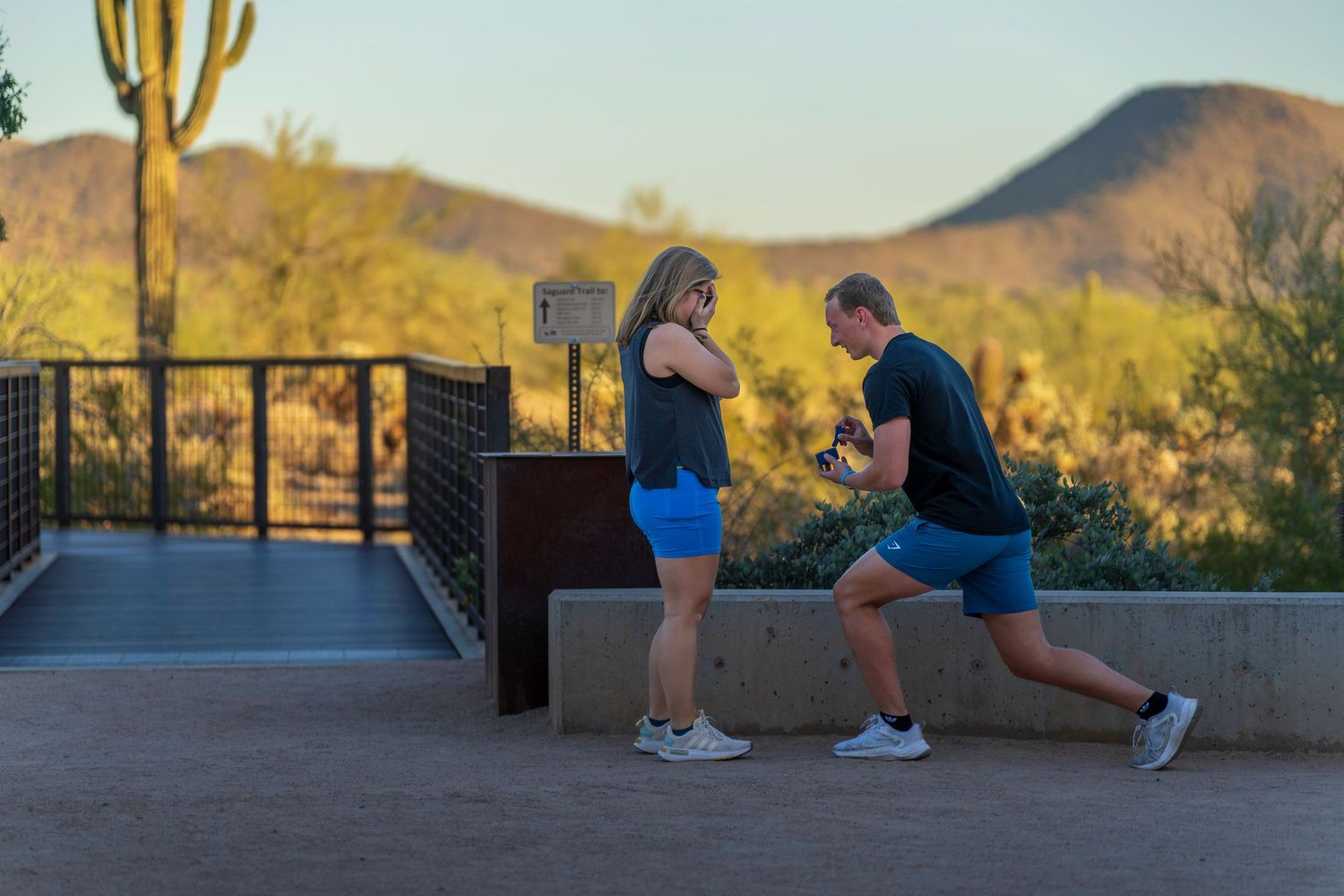 Man proposes on one knee to woman on scenic desert overlook with saguaro cacti and mountains at sunset.