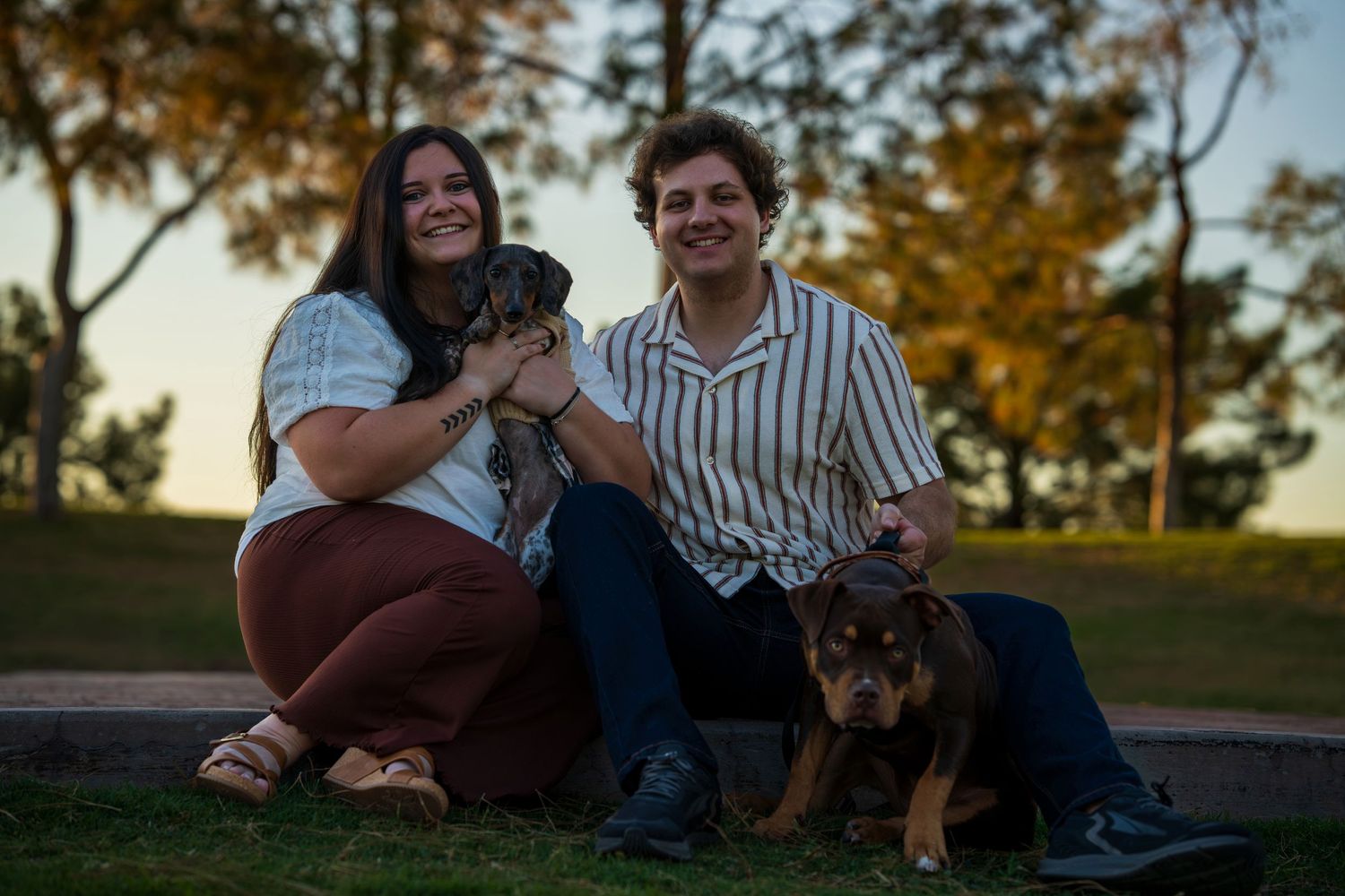 Smiling couple sitting in a park at sunset with two dogs, a puppy and a Rottweiler.