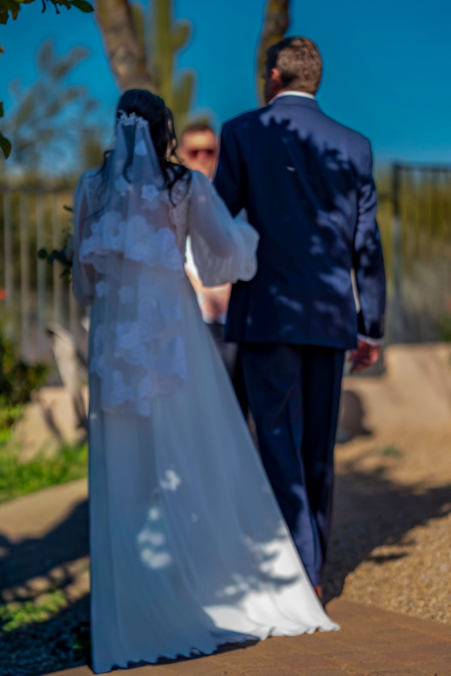 Bride and groom walking hand in hand outdoors in sunshine, viewed from behind.