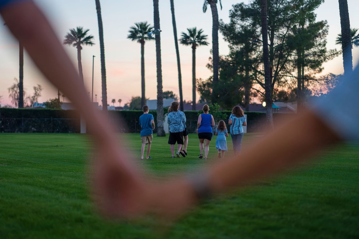 Palm trees frame a grassy field where people gather at dusk.