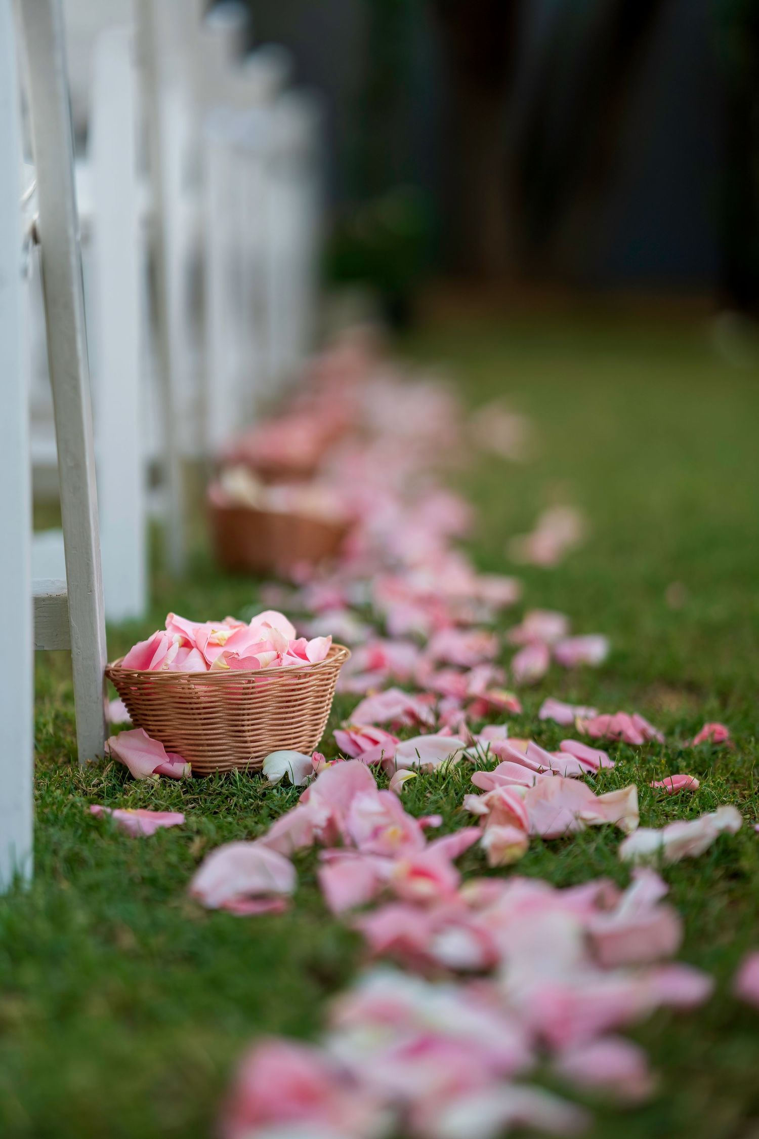 Pink rose petals scattered along a grass wedding aisle with a wicker basket near white chairs.