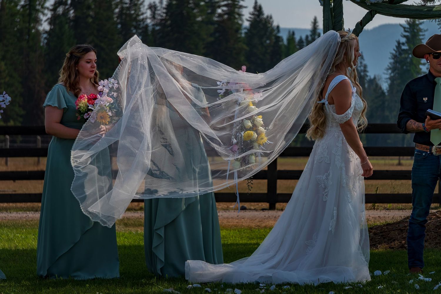 A wedding ceremony unfolds against a backdrop of evergreen trees and mountains.