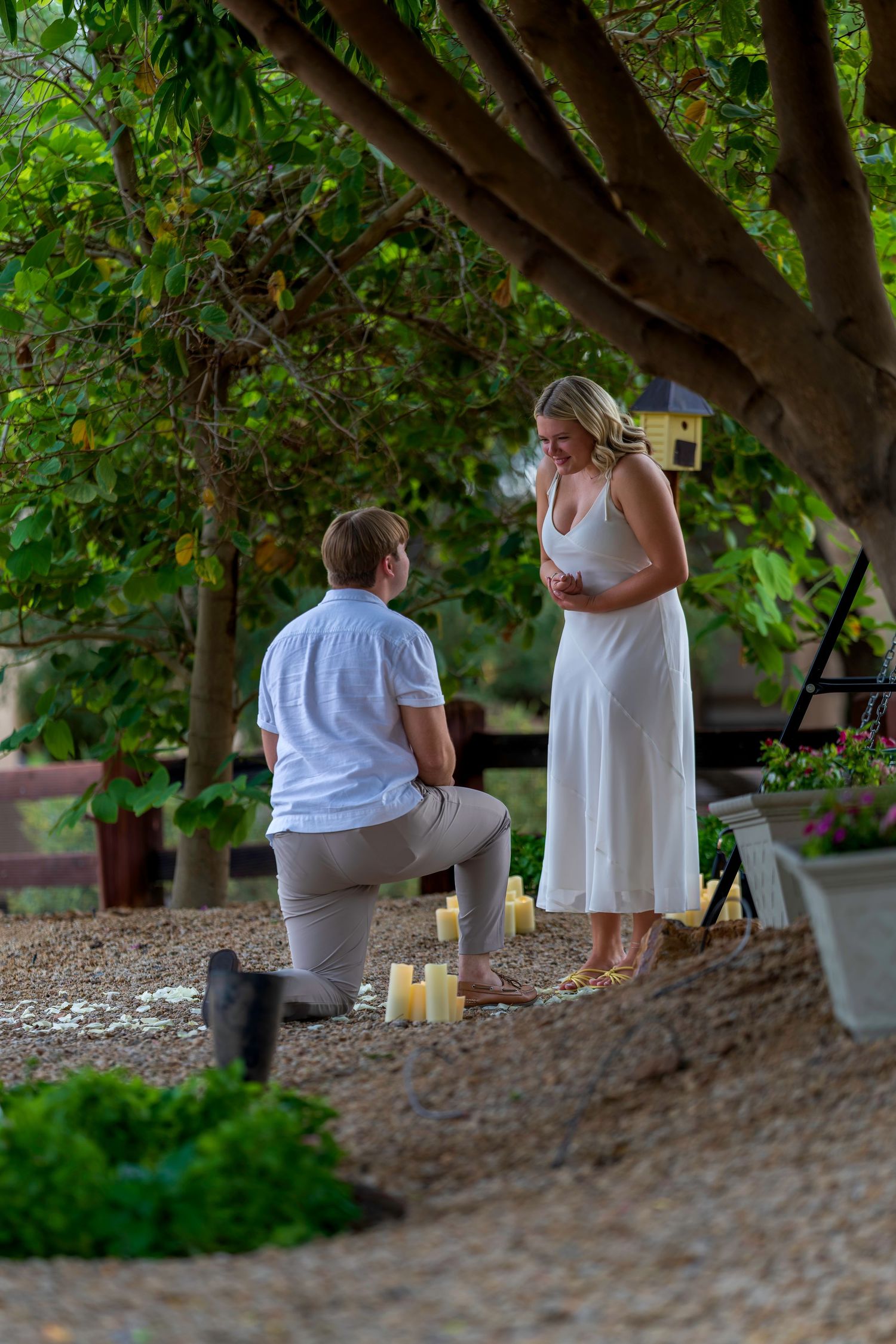 A man proposes on one knee to a woman in a white dress, surrounded by candles under a lush green tree.