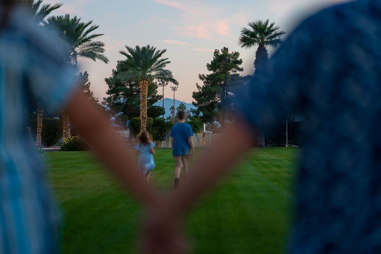 Palm trees line a grassy field at dusk with blurred figures in the background.