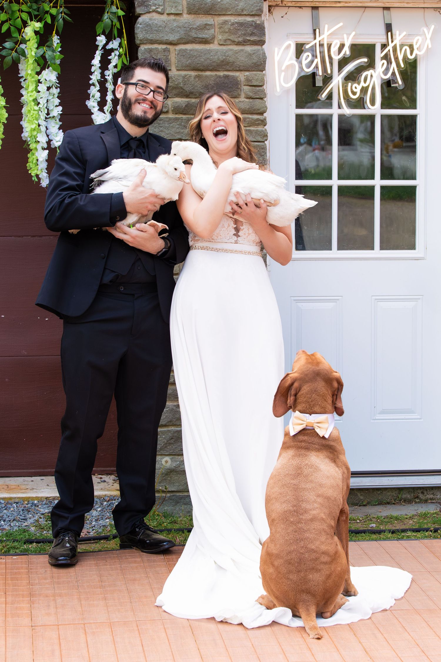 Joyful bride and groom holding white geese with dog wearing bow tie at wedding, Xenia Helix Photography, Boston, MA