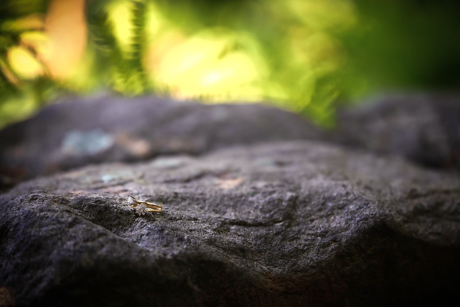Engagement ring placed on a textured dark stone with soft green bokeh fern background, Mass Audubon's Habitat, Belmont, MA