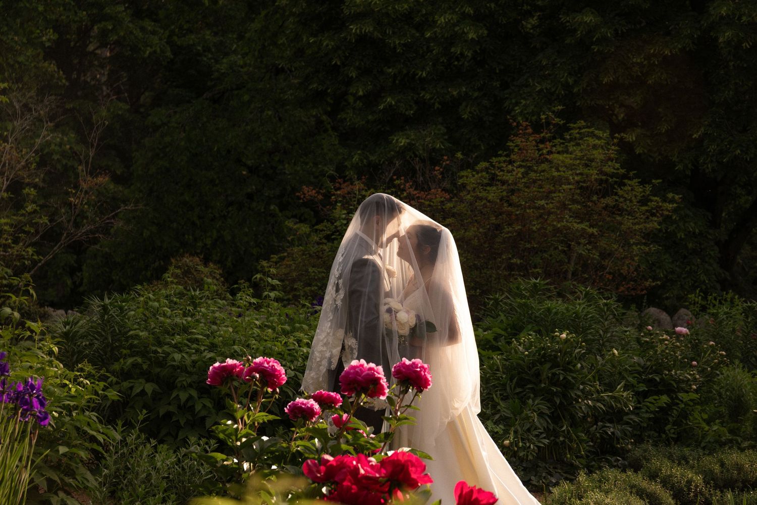 Bride and groom share a romantic kiss beneath a flowing veil surrounded by vibrant peony blooms, Estate at Moraine Farm, Beverly, MA