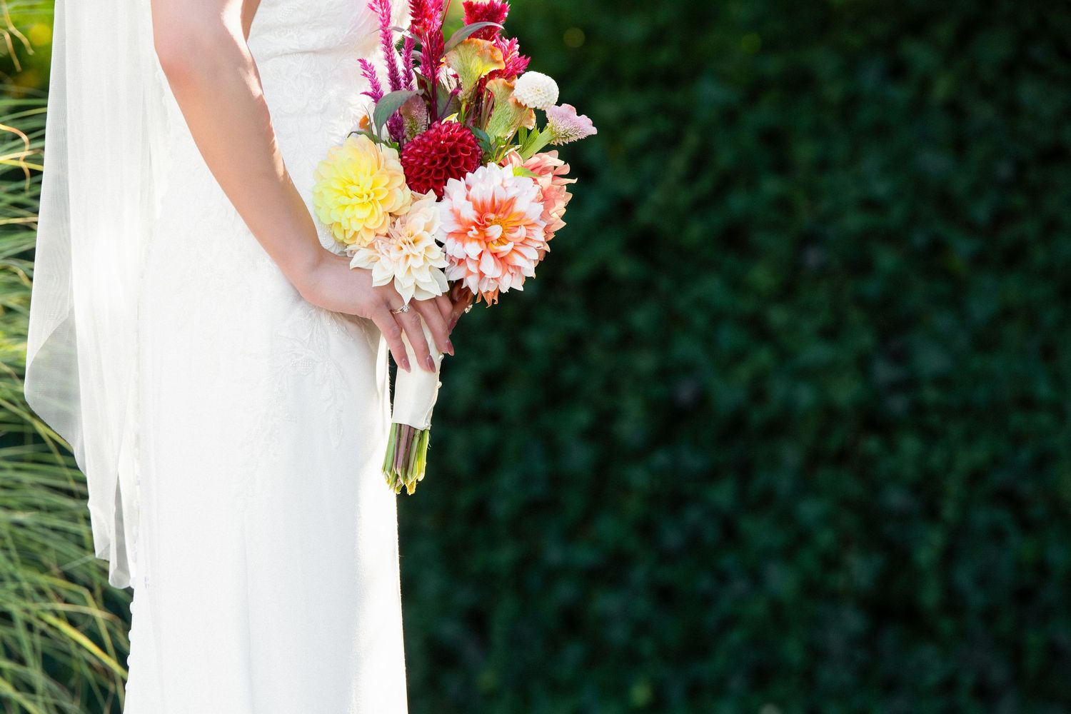 Bride in white wedding dress holding a colorful bouquet of dahlias and flowers against a lush green ivy backdrop.