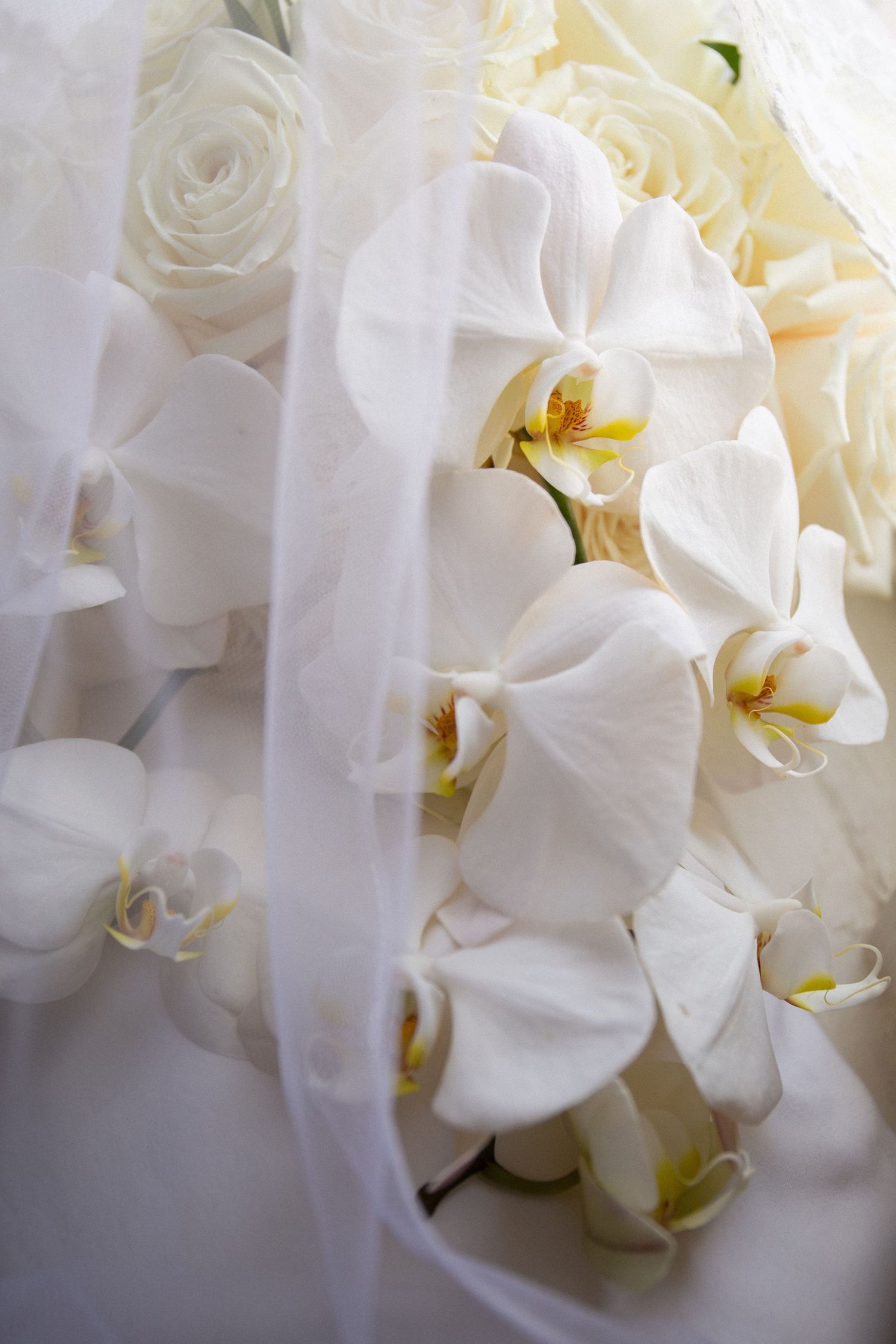 Beautiful wedding bouquet featuring white orchids and roses draped with sheer veil, Chocksett Inn, Sterling, MA