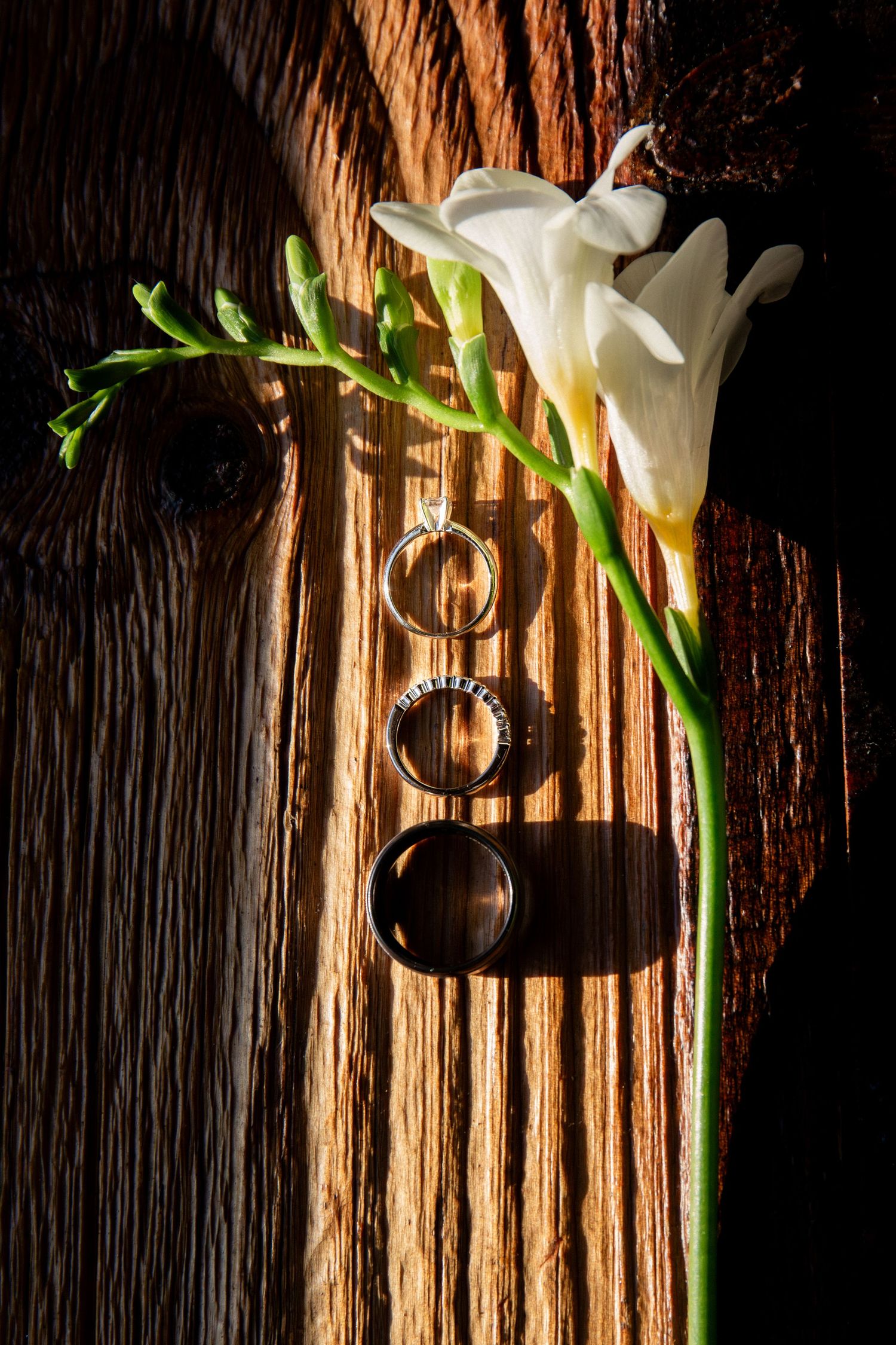 Wedding rings displayed beside a white freesia flower on a rustic wooden surface in dramatic light, Barn at Bradstreet Farm, Rowley, MA