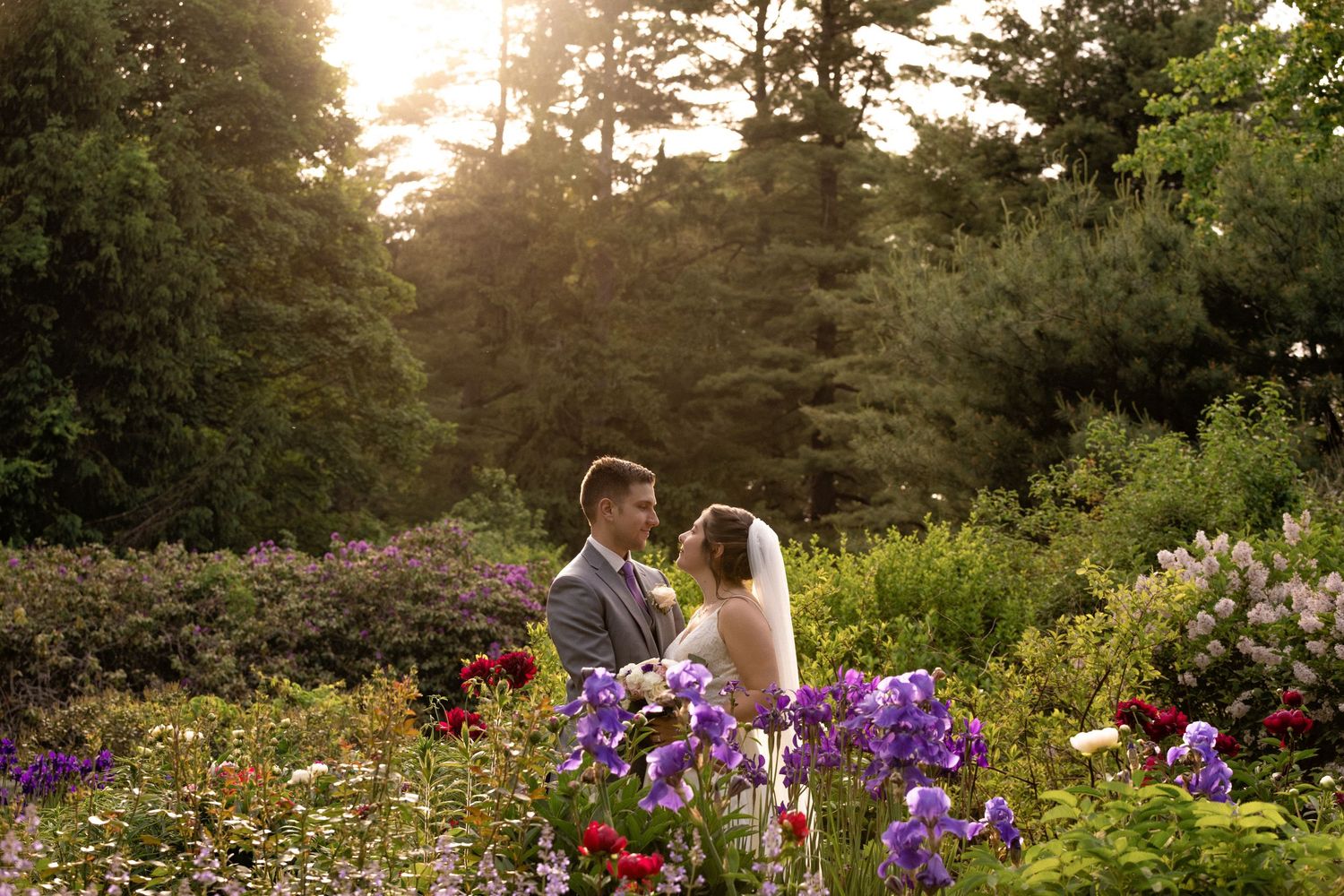 Bride & groom share romantic moment surrounded by purple wildflowers in sunlit garden at golden hour, Estate at Moraine Farm, Beverly, MA
