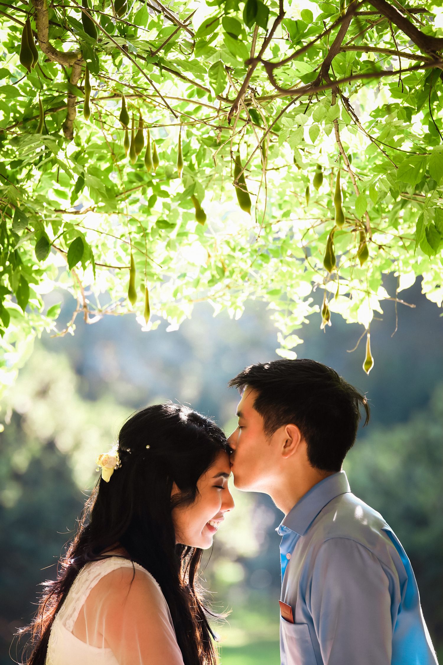 Couple shares a tender forehead kiss under lush green tree branches in a sunlit garden, Mass Audubon's Habitat, Belmont, MA