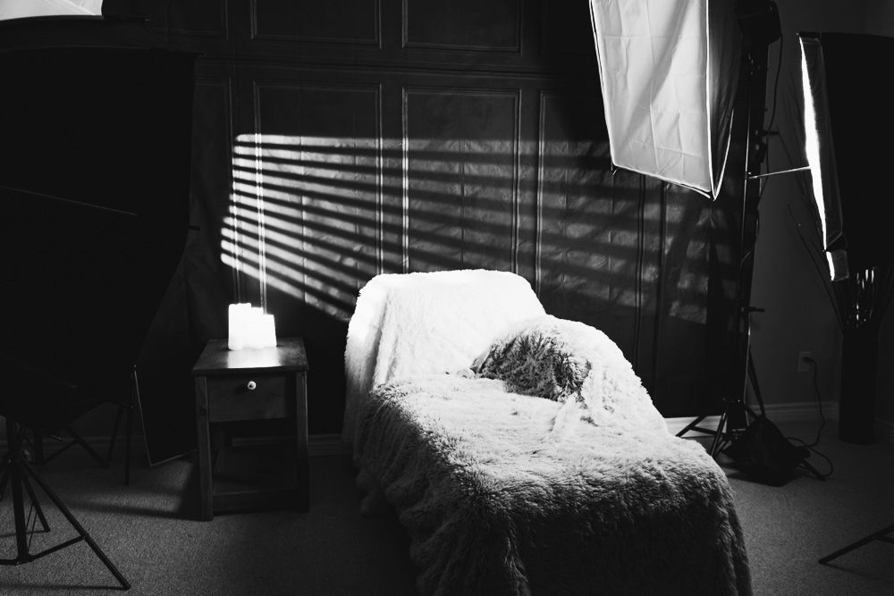 Interior of Rab Carrigan's Barrie studio sanctuary featuring a textured chaise and dramatic cinematic lighting.