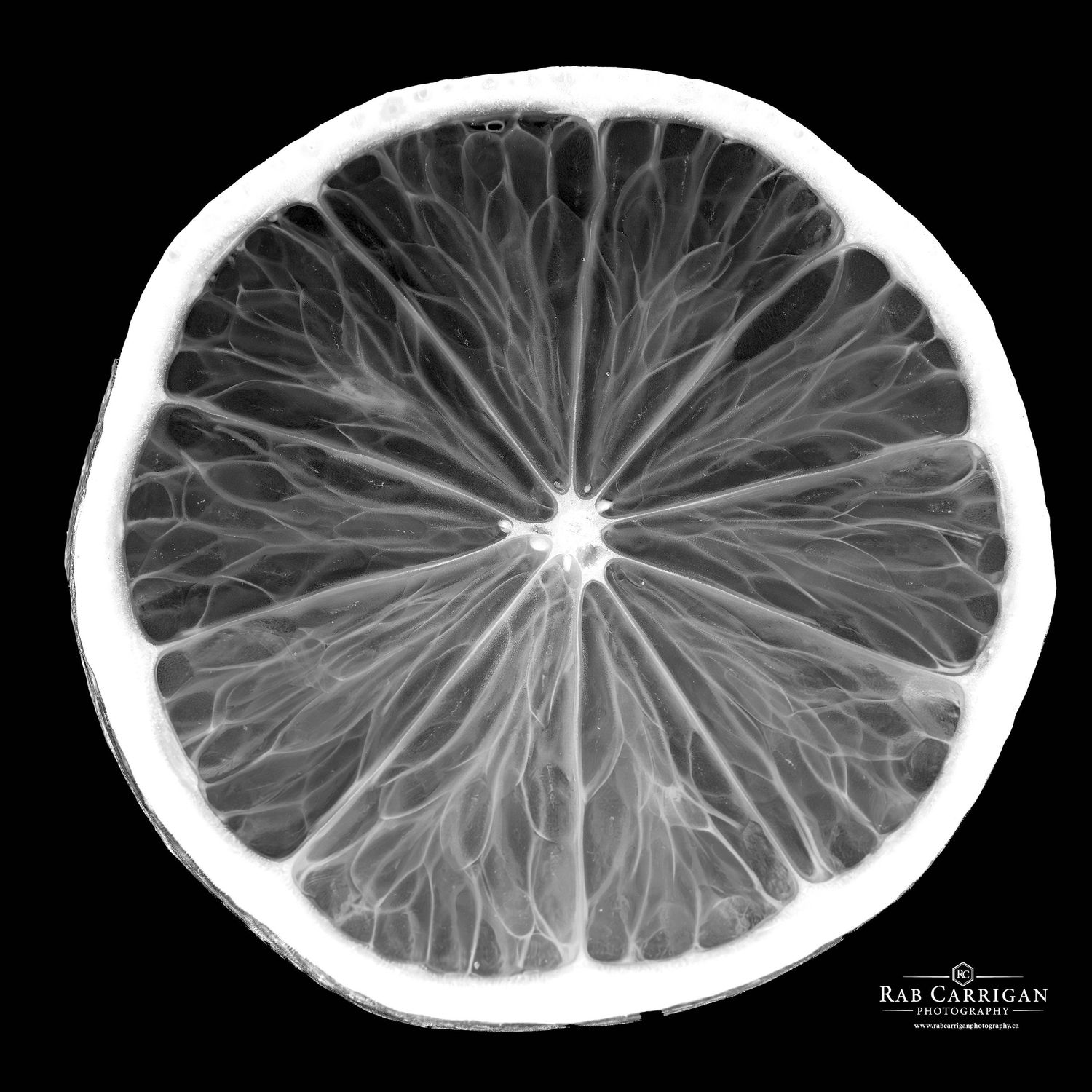 Black and white x-ray style cross-sectional images of citrus fruit showing detailed internal membrane structure.