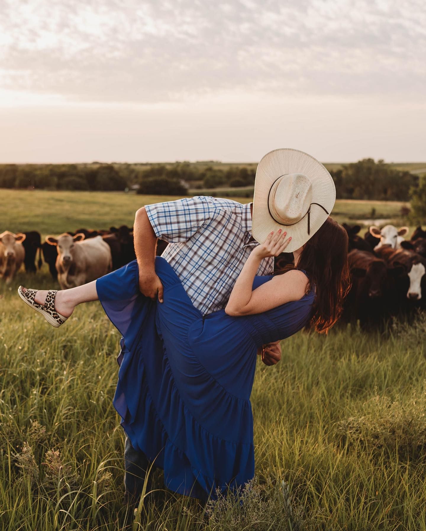 Romantic dance poses in a field with cattle grazing in the background at sunset.
