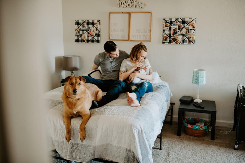 Cozy bedroom scene with a dog lounging on white bedding near a decorated wall.