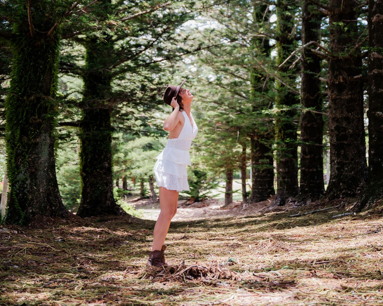 A sequence of photos showing someone walking through a peaceful forest path surrounded by tall evergreen trees.