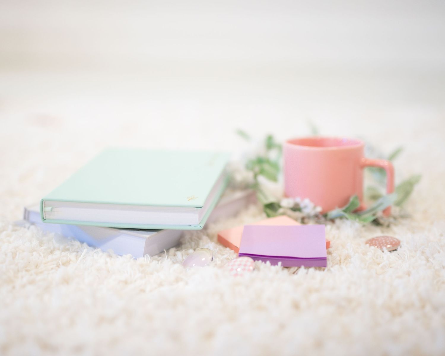 Pastel colored books and pink coffee mug arranged on soft white carpet with delicate greenery accents.