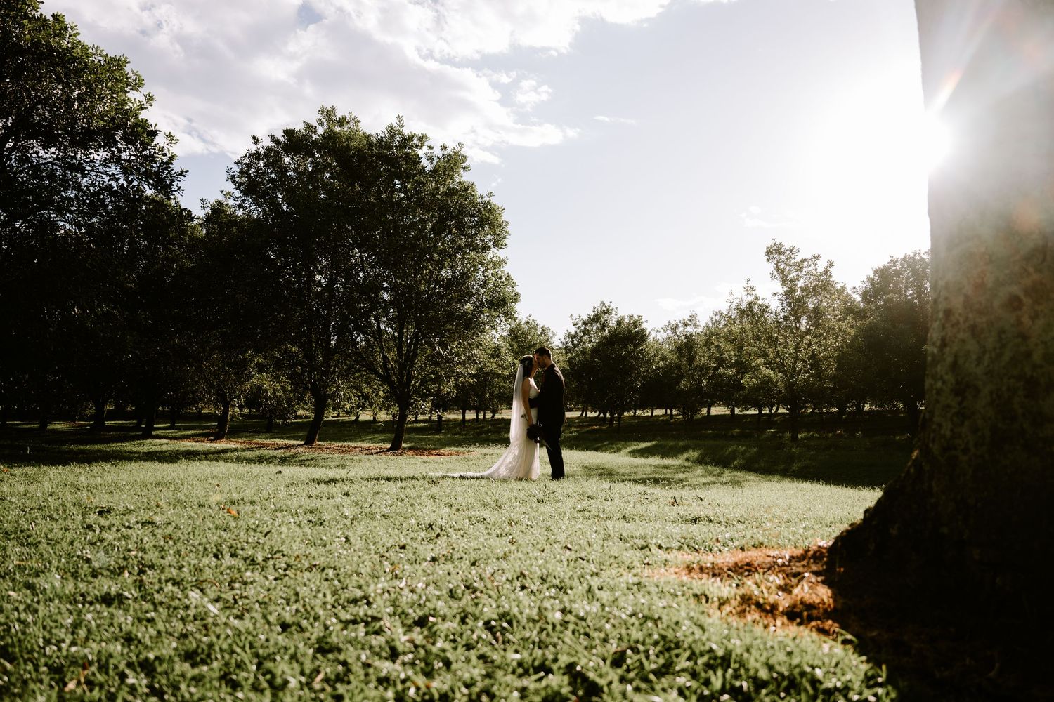 A bride and groom share a romantic moment in a sunlit green meadow surrounded by lush trees on their wedding day.