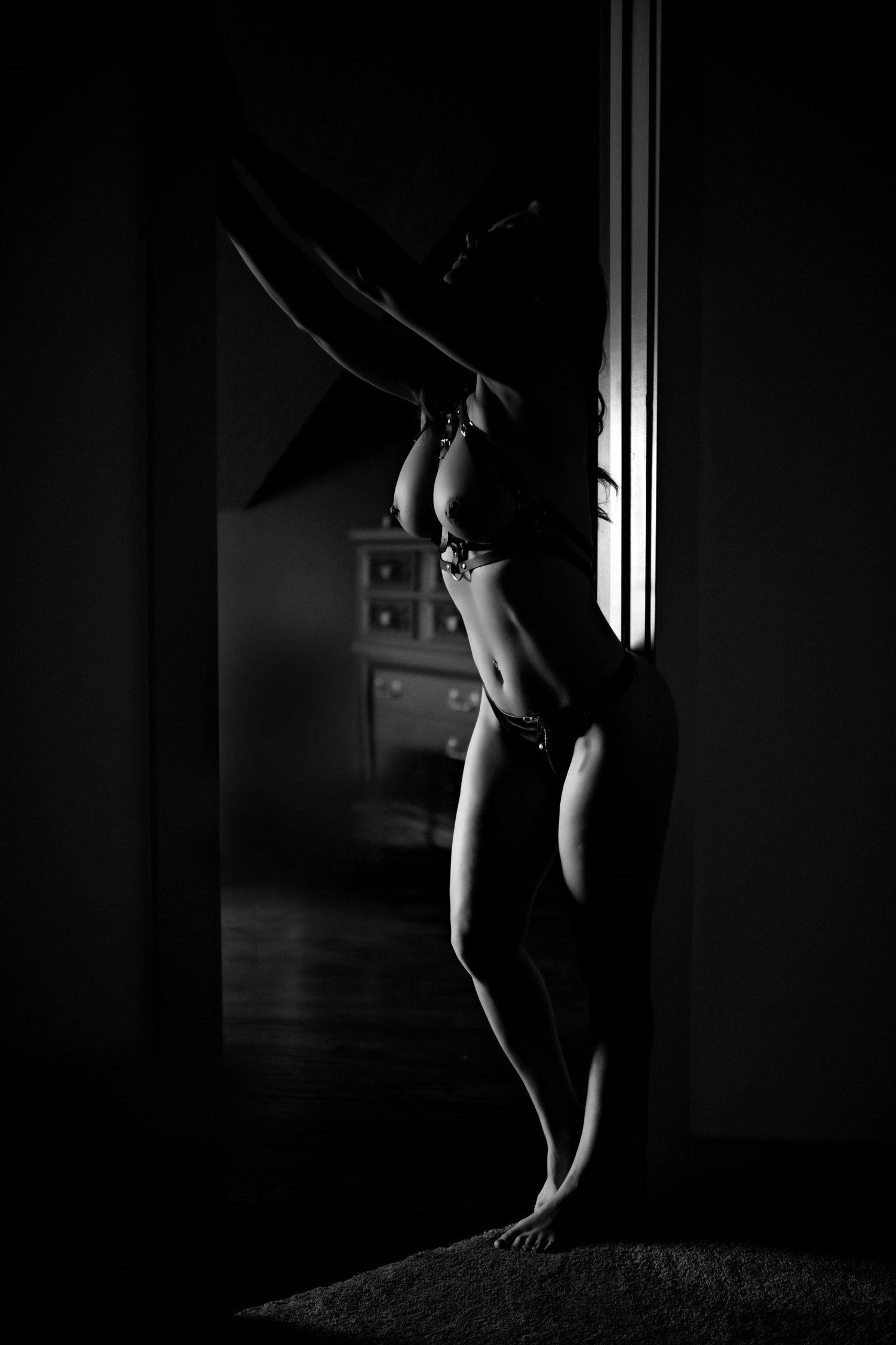 Luxury boudoir photography session for women in Idaho Falls, ID, styled with fine lingerie and soft light.