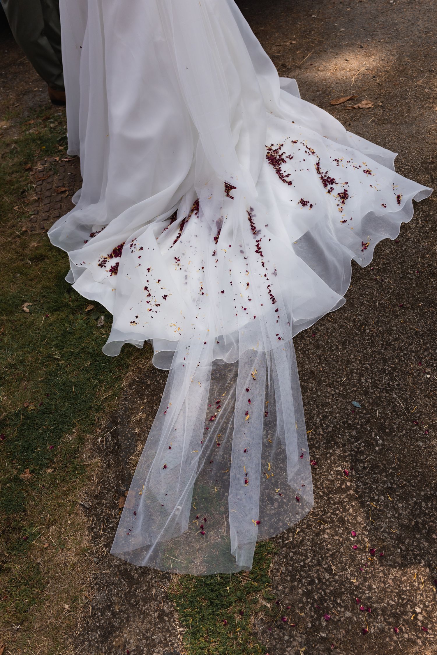 A top down shot of a brides train full of rose petals following the throwing of the confetti.