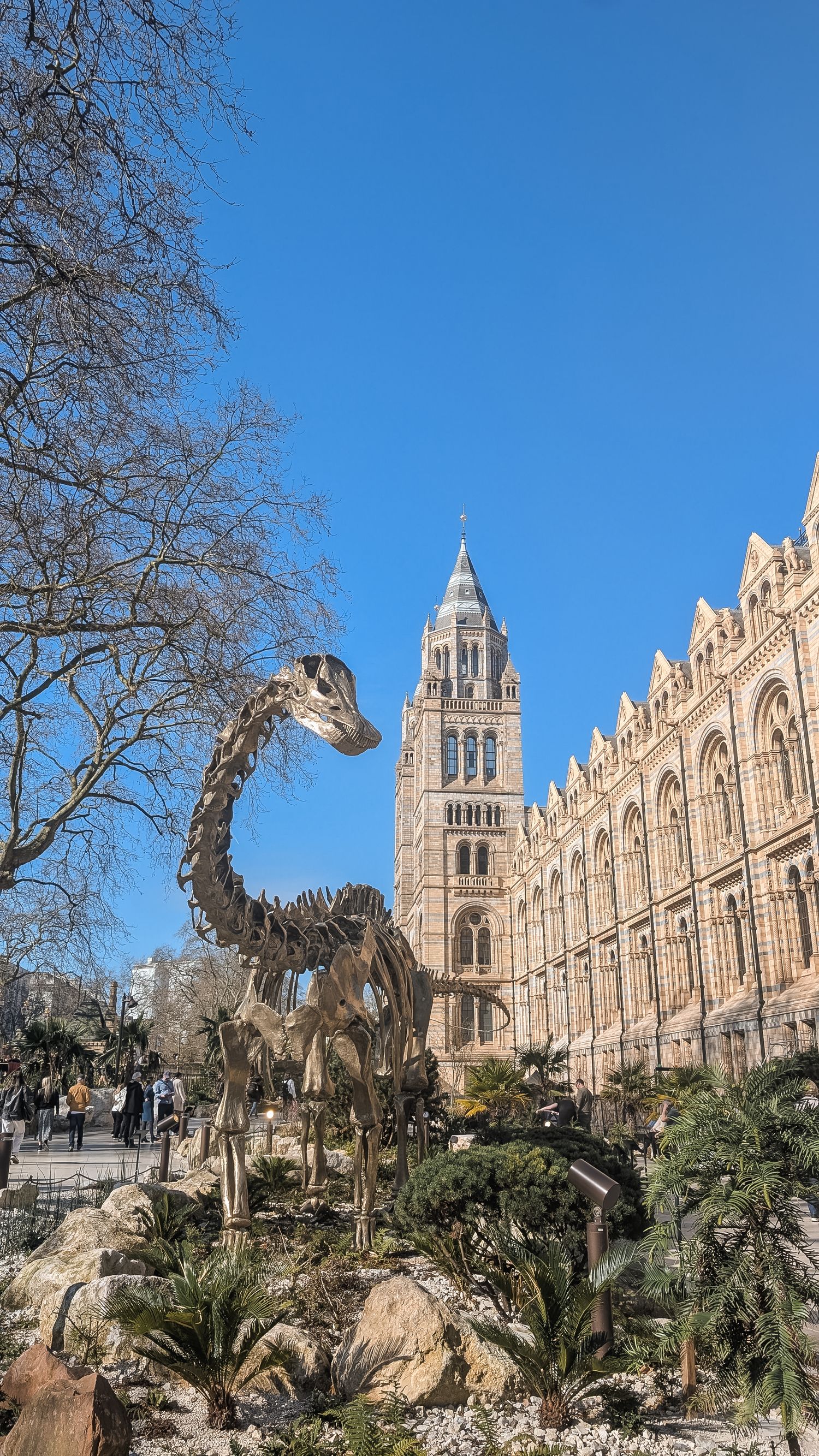 Natural history museum in the sunshine.