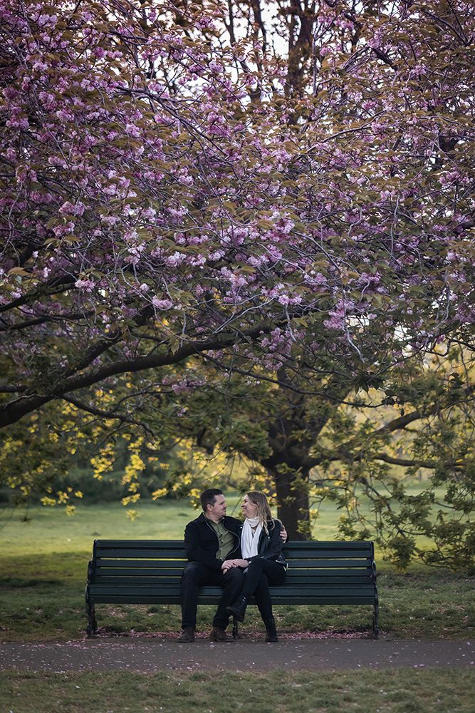 Relaxed couple sitting on a bench underneath a cherry blossom tree in Greenwich park.