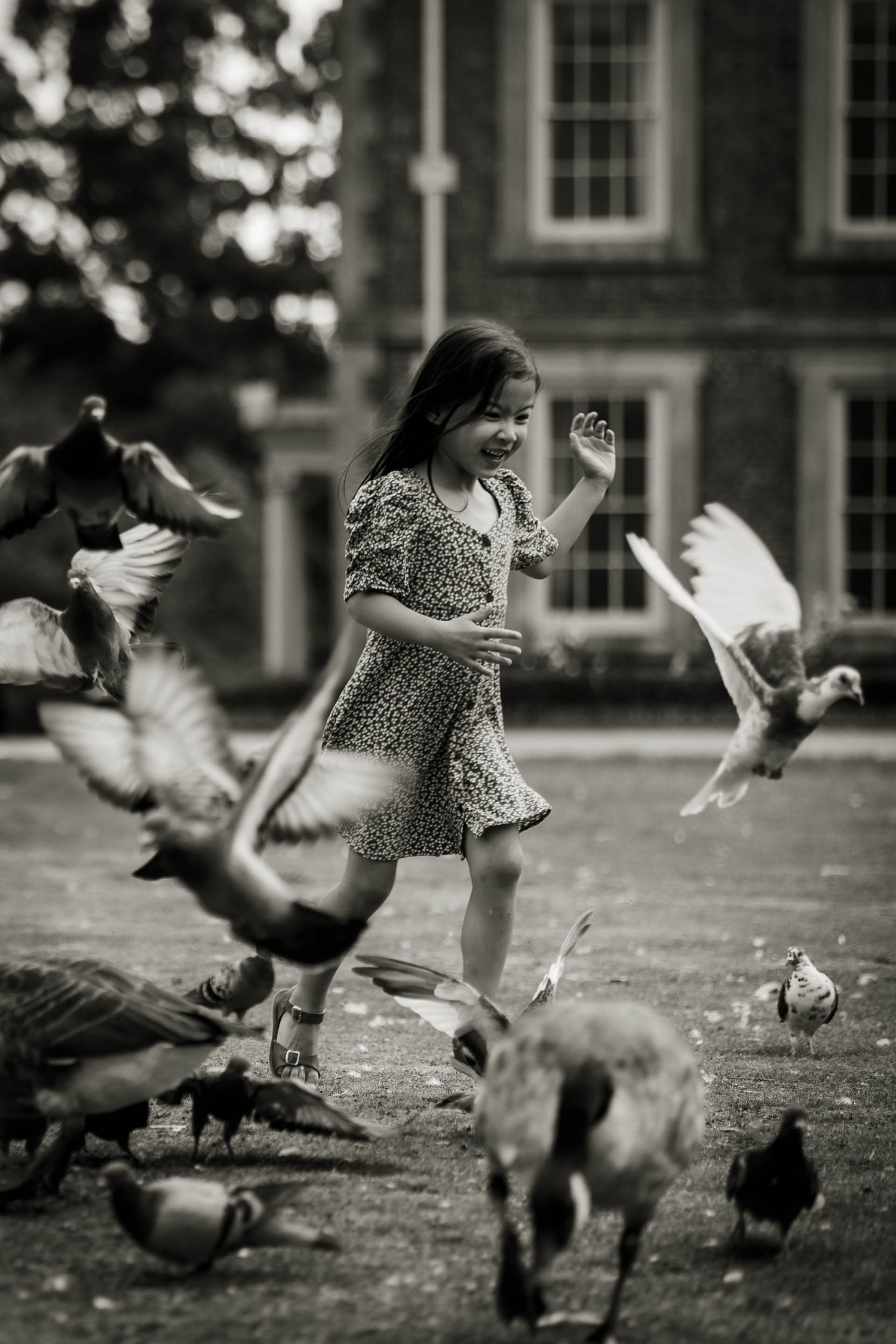 Black and white image of a girl chasing the pigeons in front of Forty Hall in Enfield.